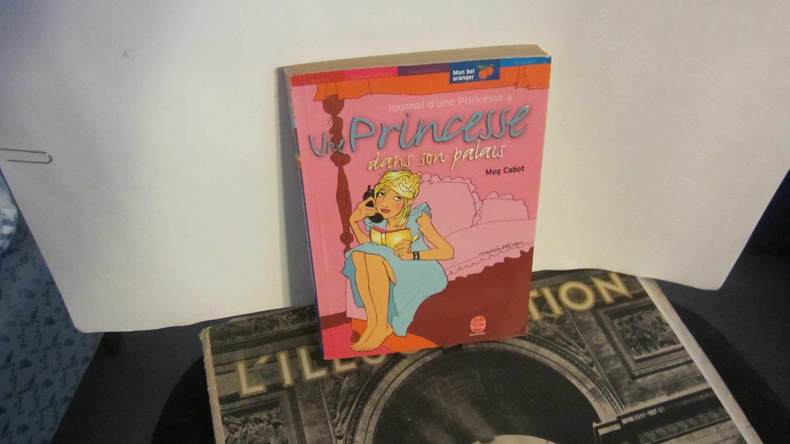 Une princesse dans son palais 9782013221481