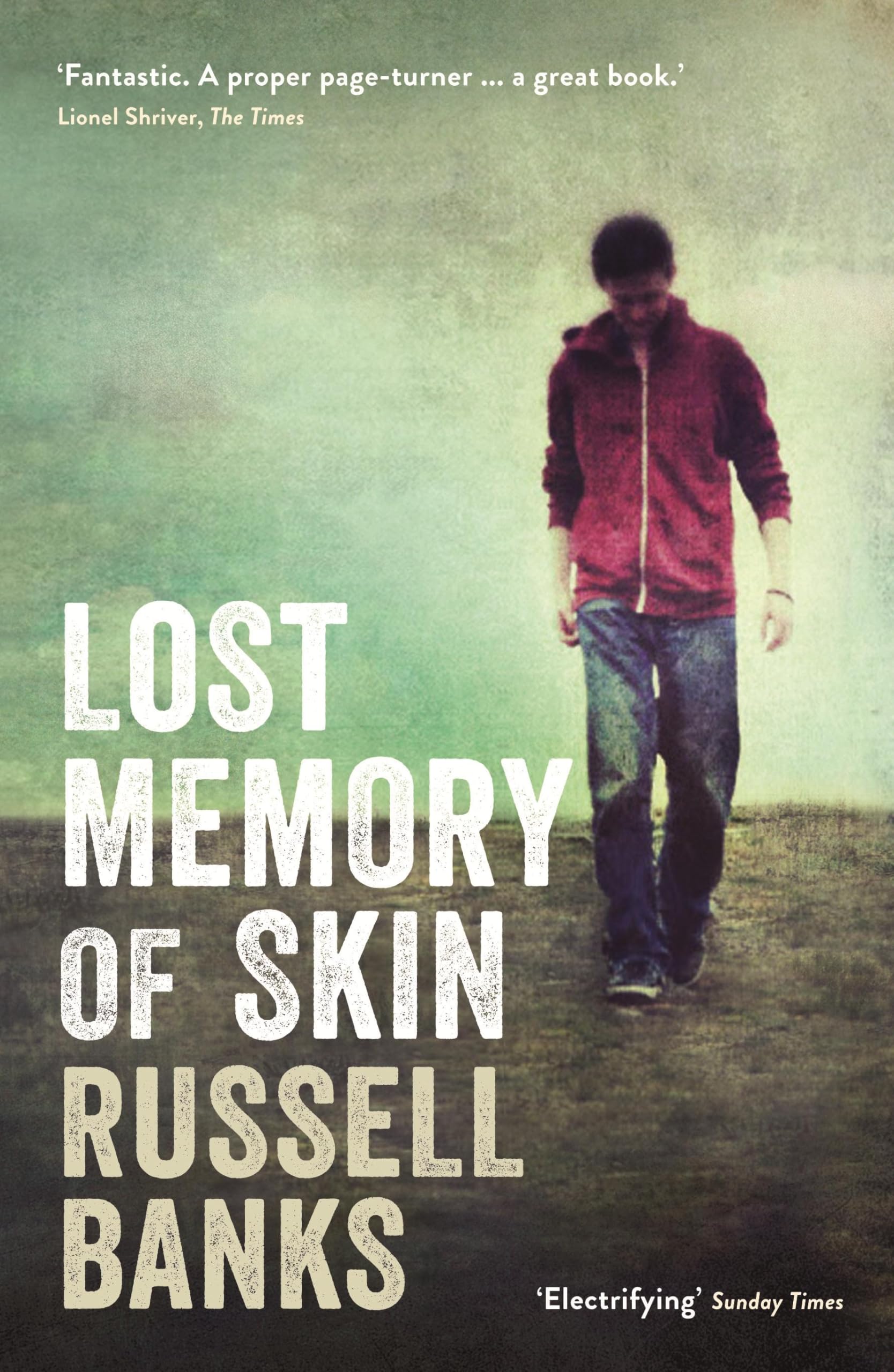 Lost Memory of Skin 9781846685774