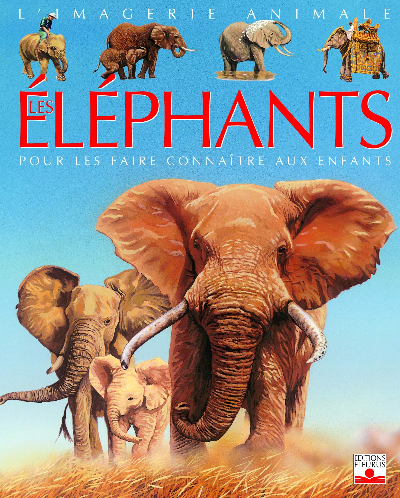 Eléphants 9782215083146