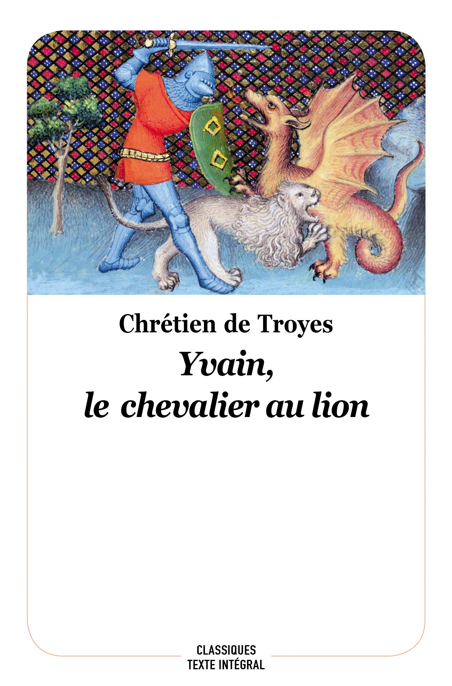 Yvain, le chevalier au lion 9782211238489