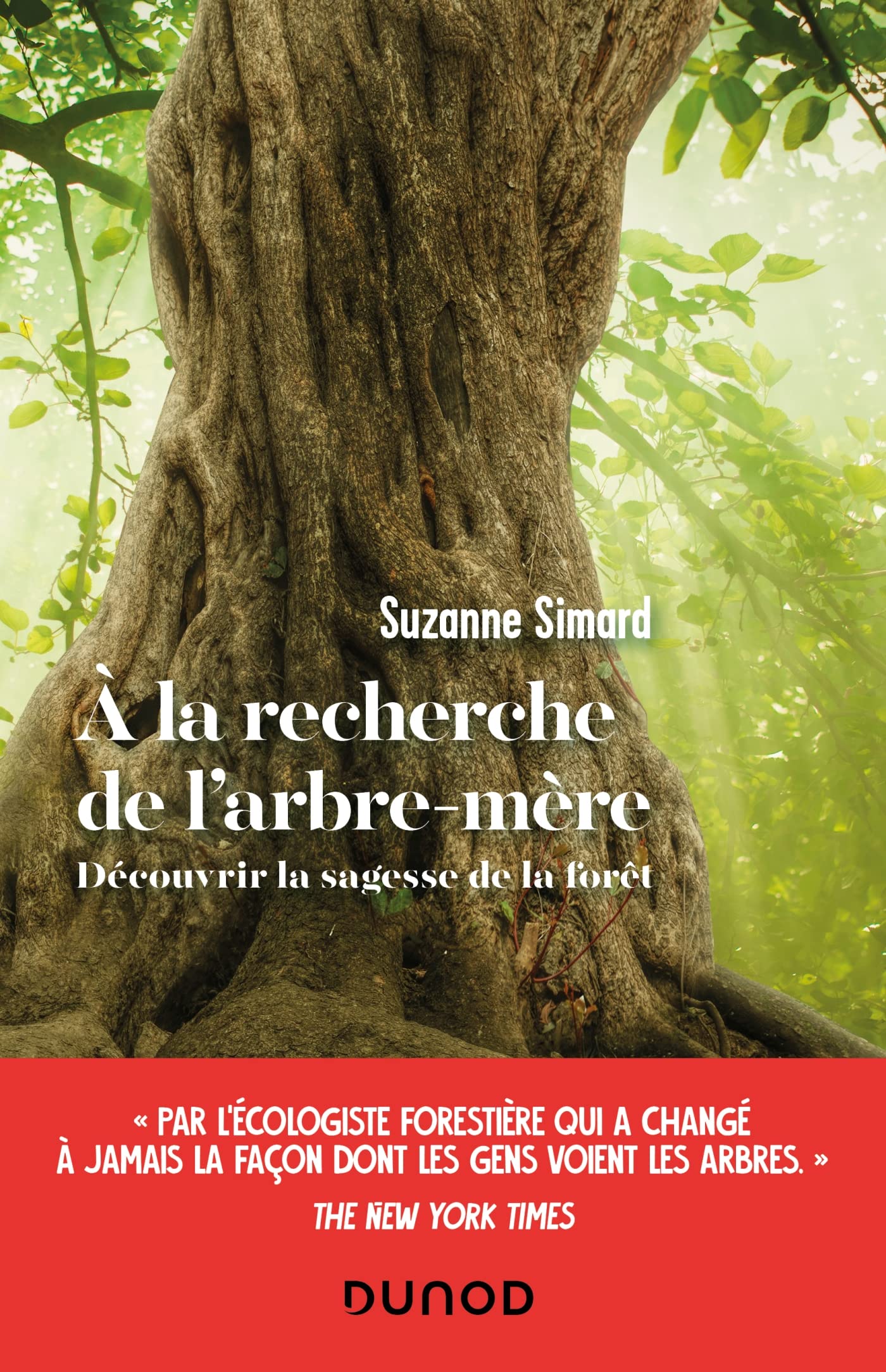 A la recherche de l'arbre-mère: Découvrir la sagesse de la forêt 9782100806928