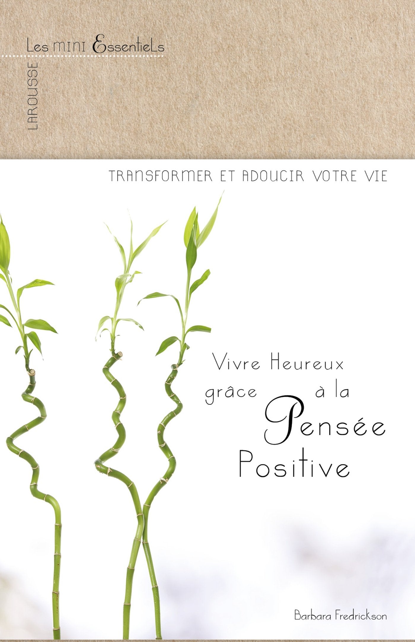Vivre heureux grâce à la pensée positive 9782035915245