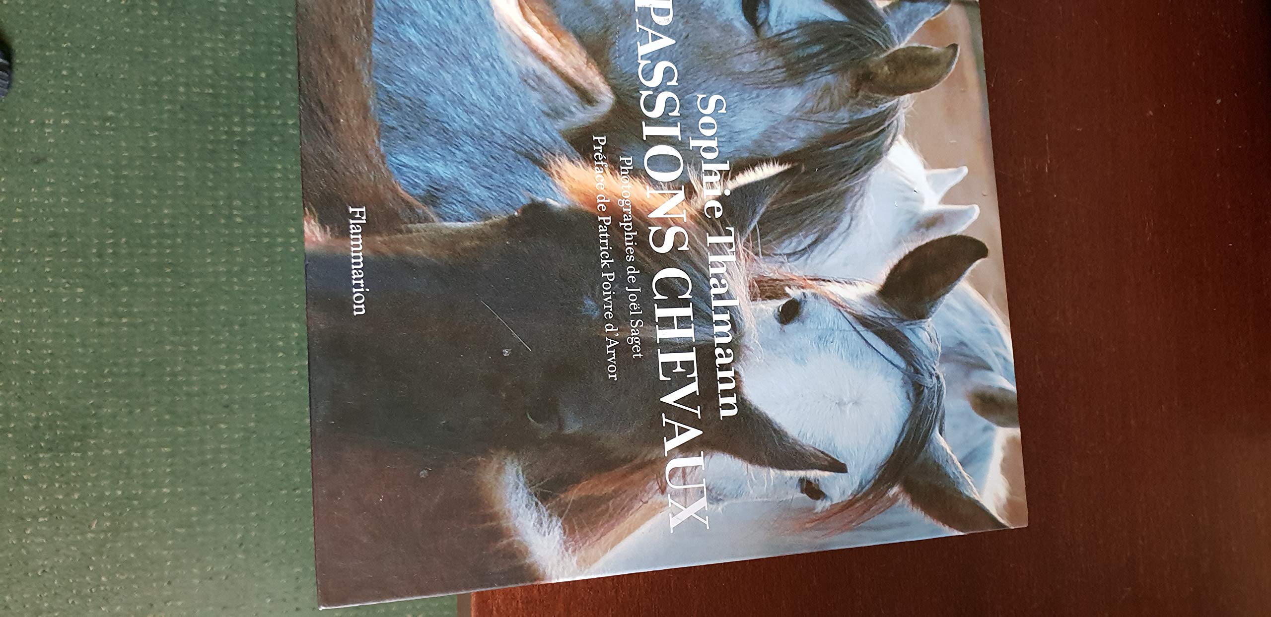 Passions Chevaux 9782082015424