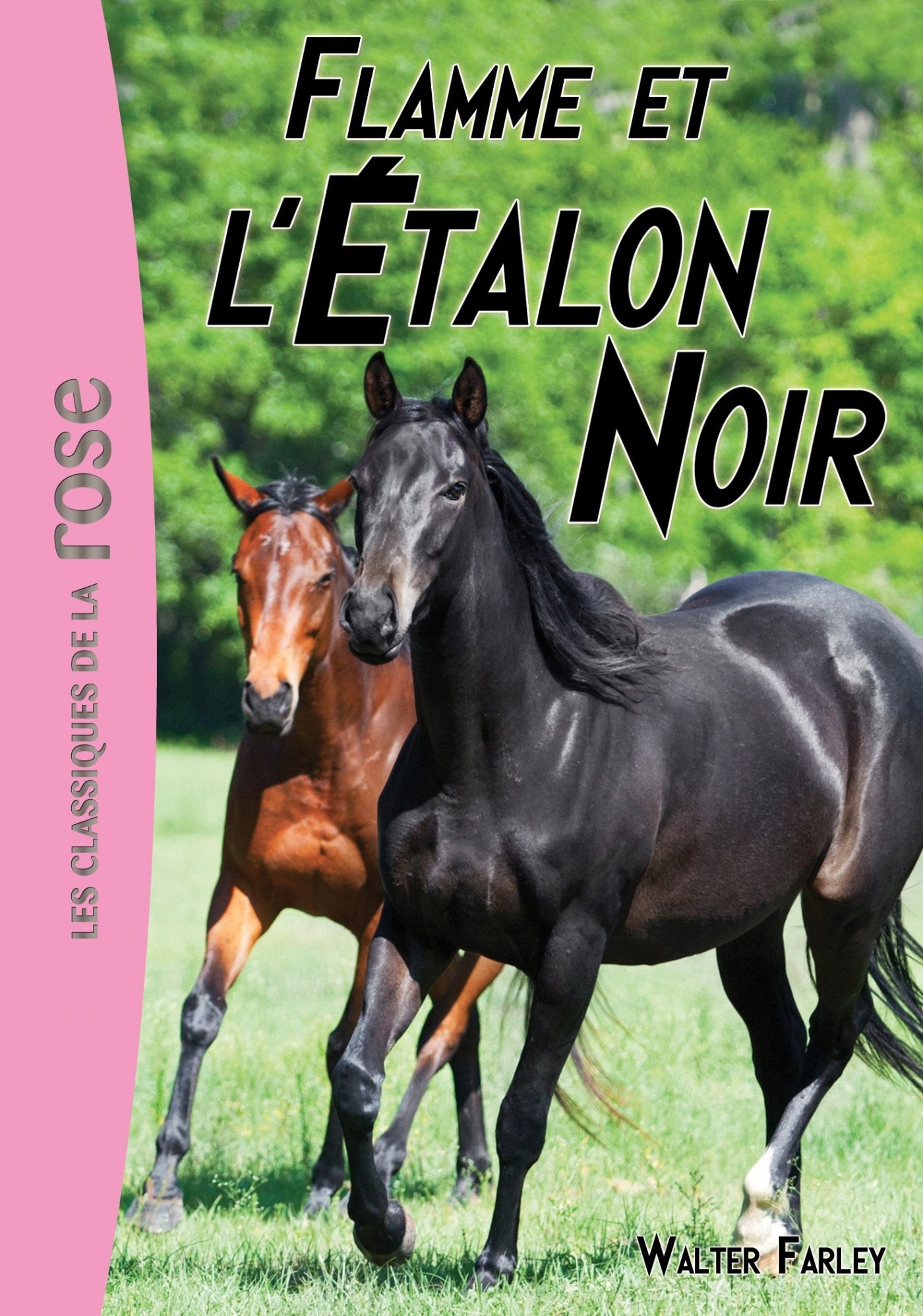 L'Étalon Noir 17 - Flamme et l'Étalon Noir 9782011809742