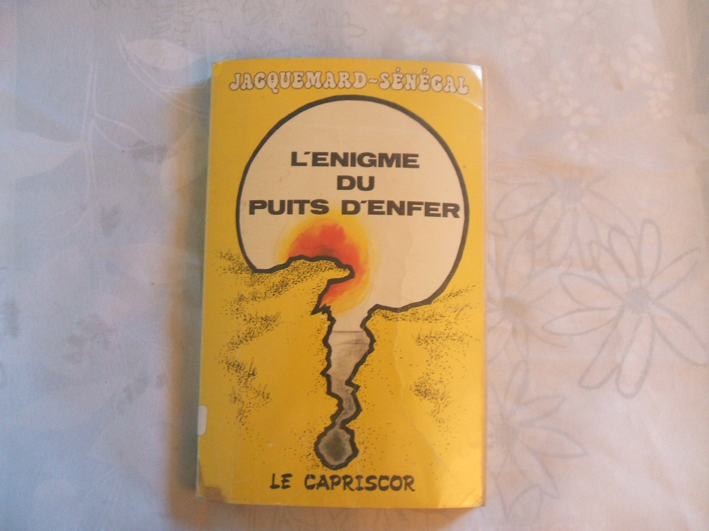 L'énigme du puits d'enfer 9782903117016