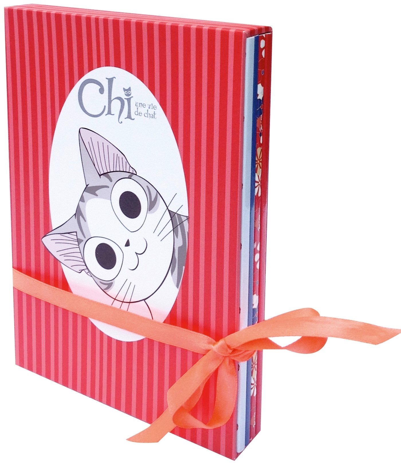 Chi - une vie de chat - coffret de 4 carnets 3250199918052