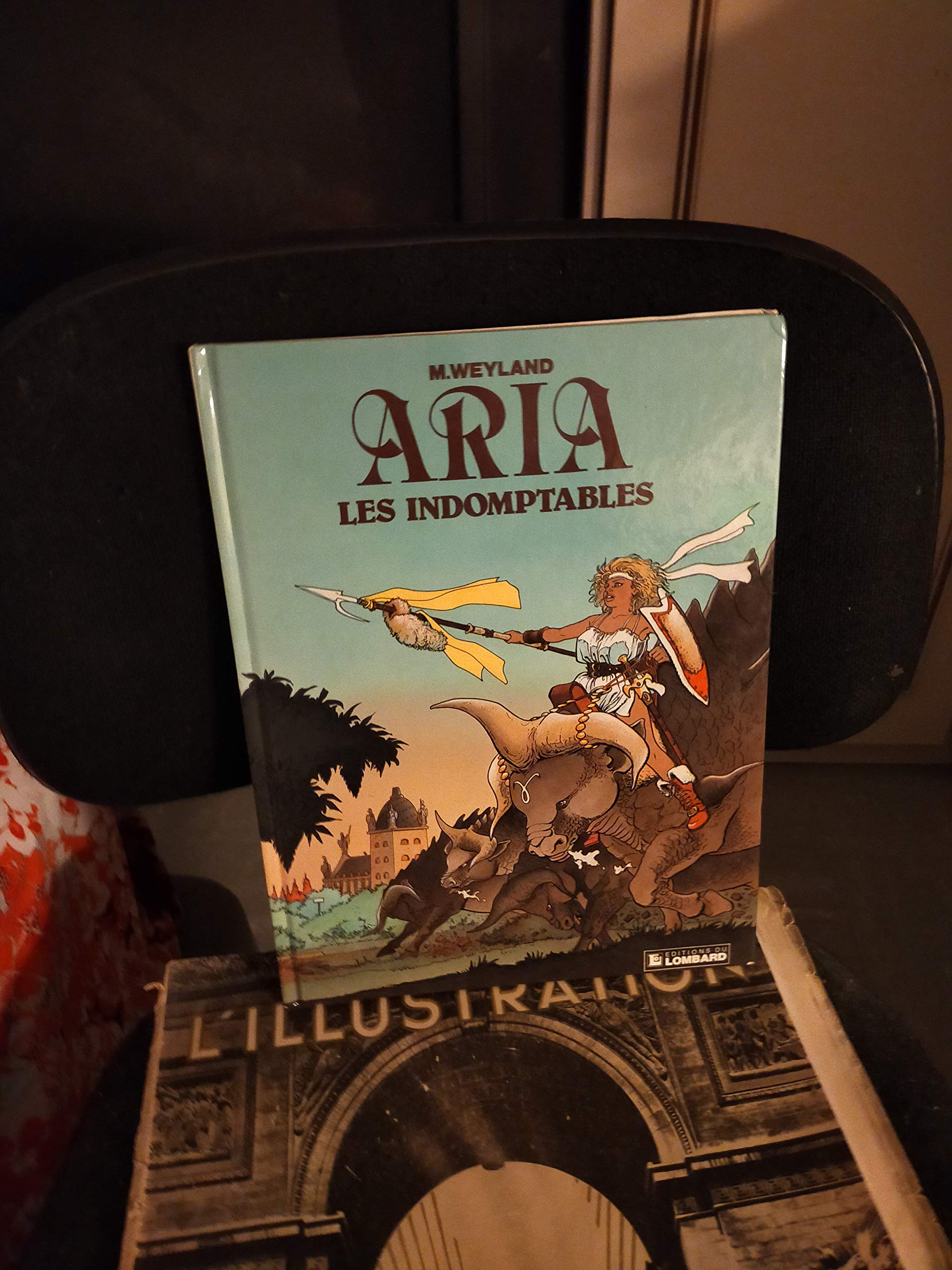 Les Indomptables: Une histoire du journal "Tintin" 9782803607167
