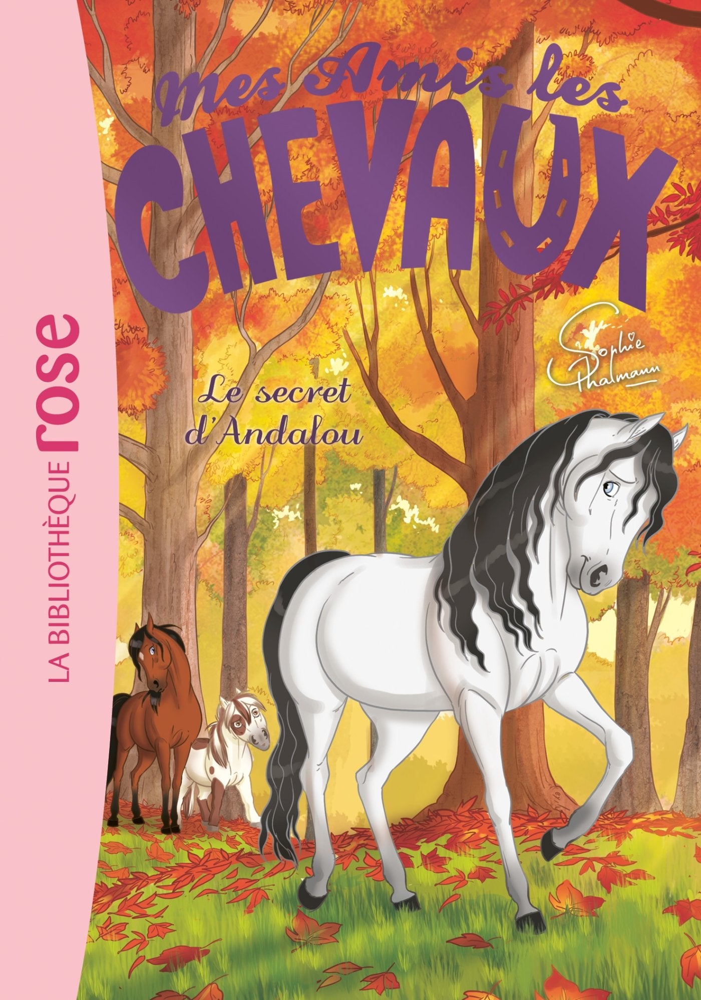 Mes Amis les Chevaux - Volume 19 - Le Secret d'Andalou 9782017035176