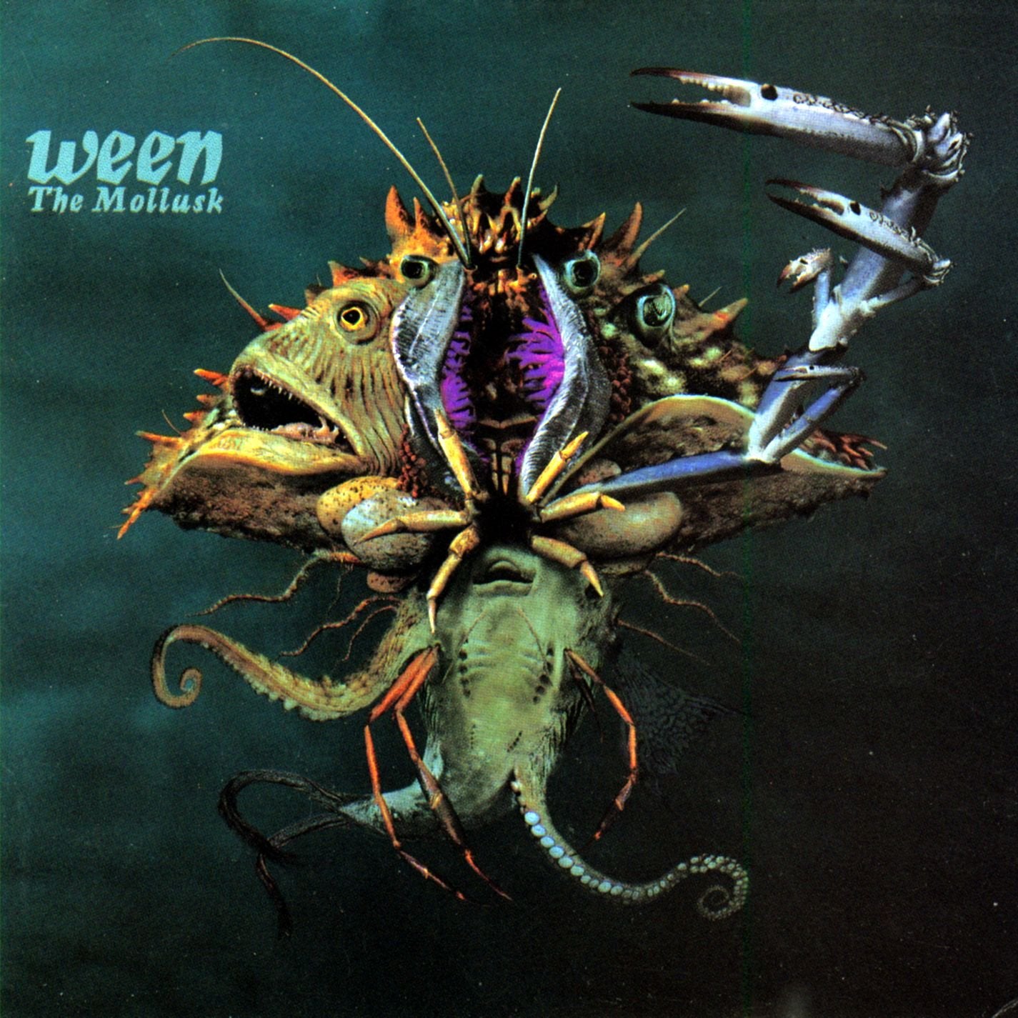 Mollusk 0075596201322