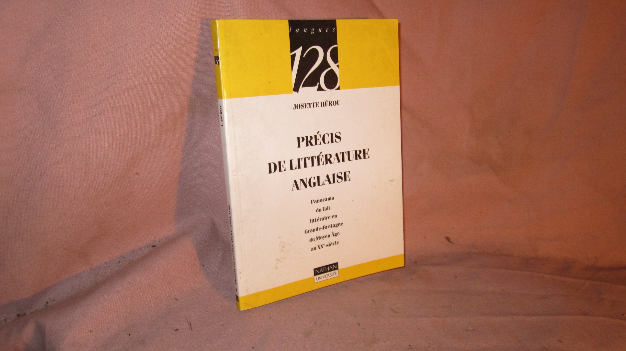 Précis de littérature anglaise : Panorama du fait littéraire en Grande-Bretagne du Moyen Âge au XXe siècle 9782091905907