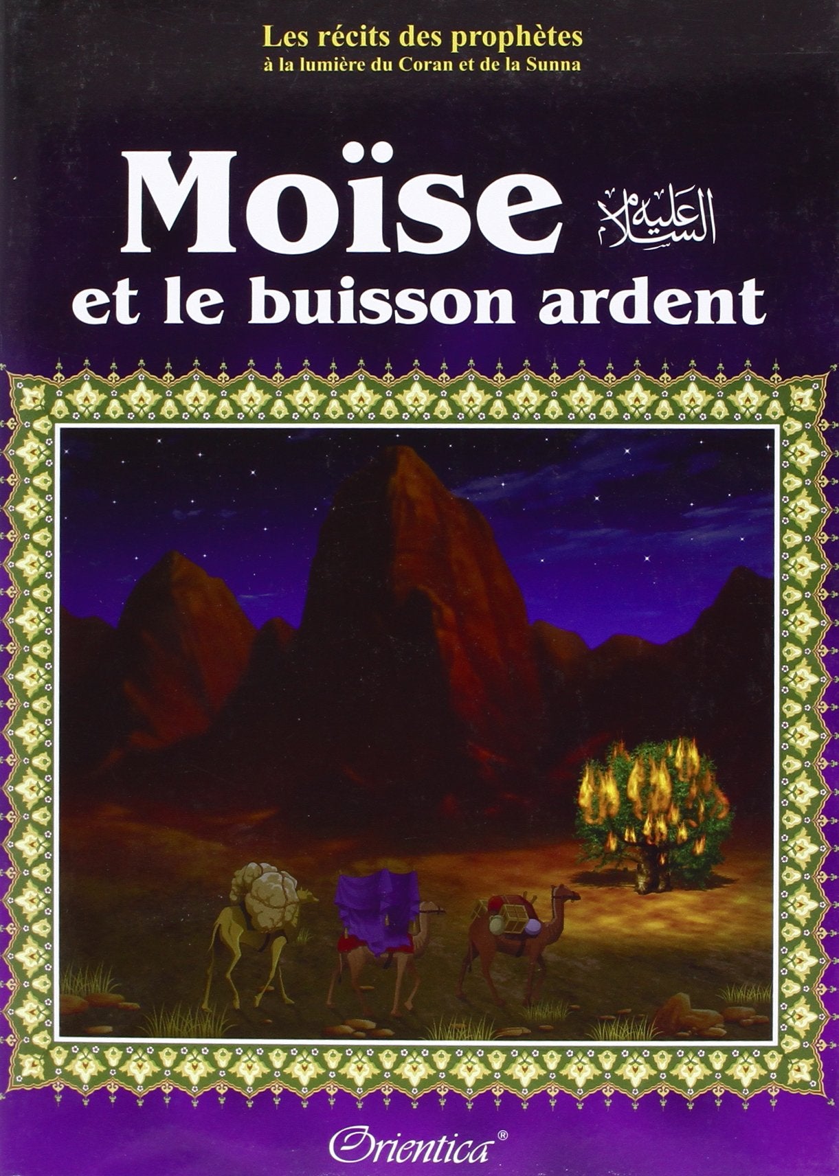Moïse et le buisson ardent 9782356350190