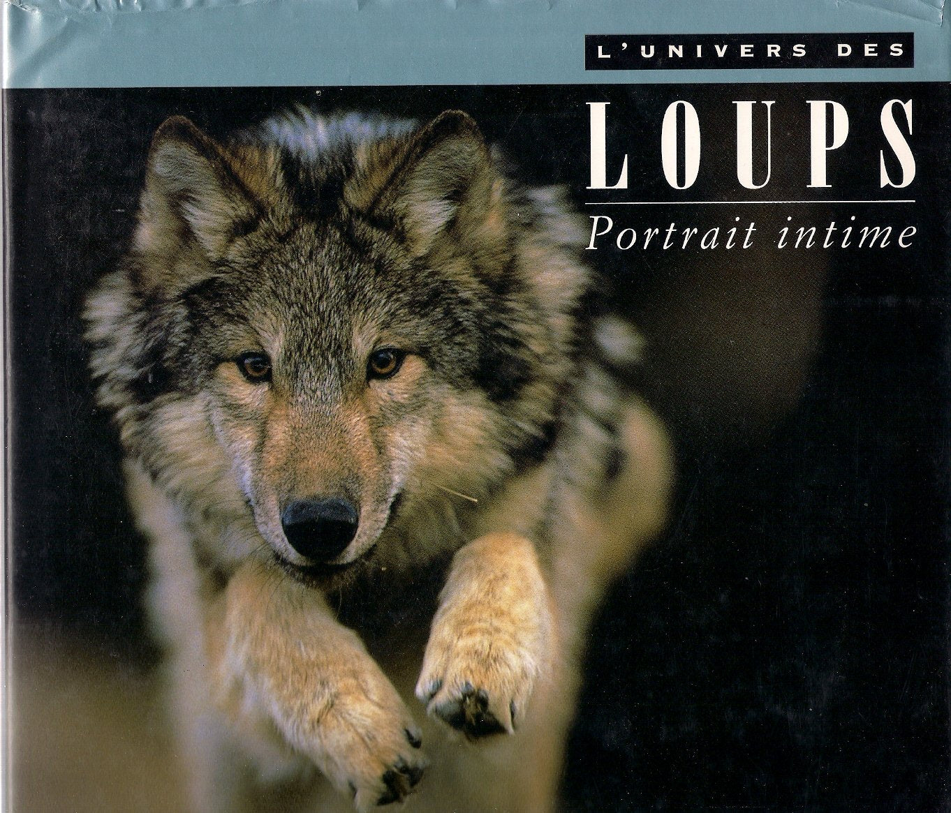 L'univers des loups 9782892496659