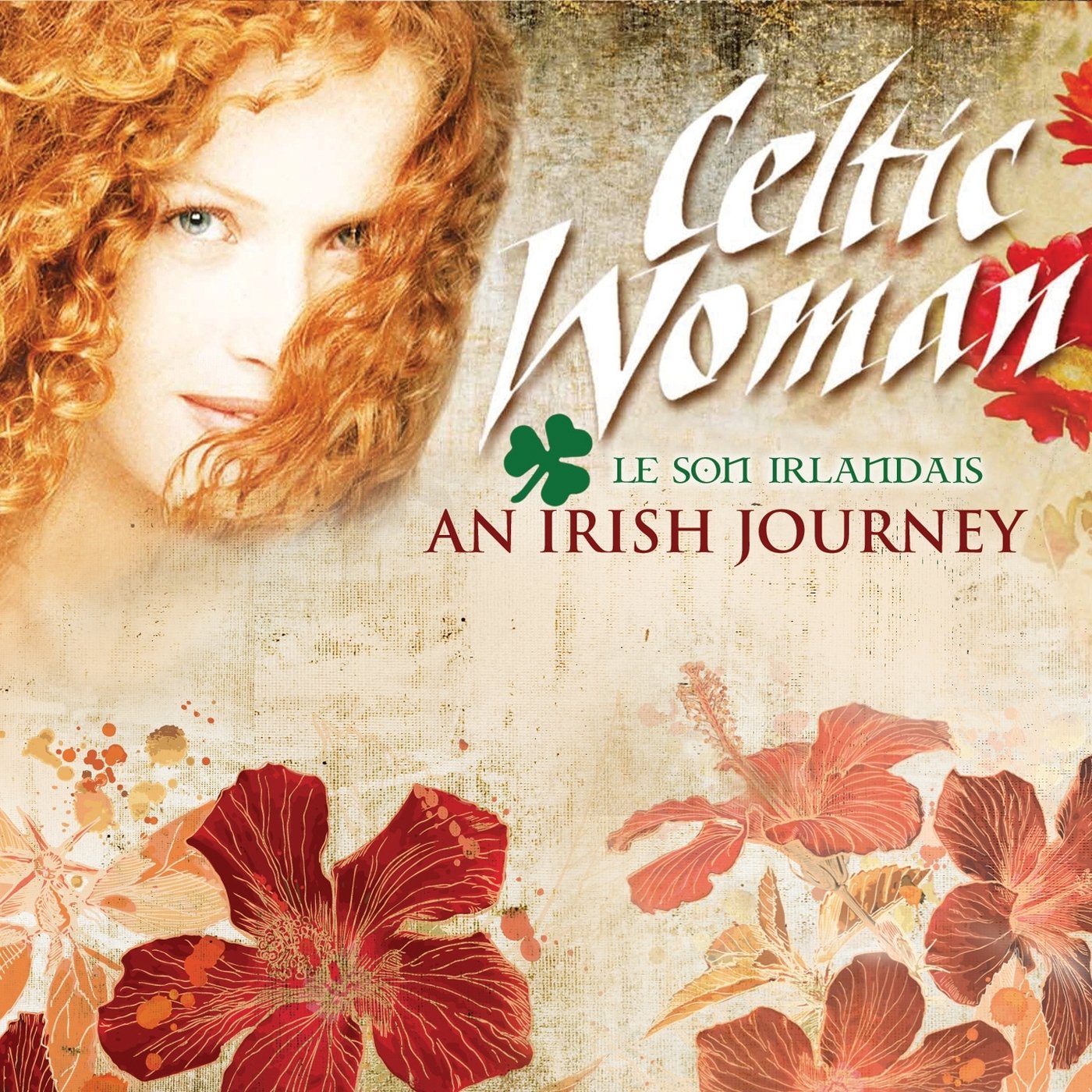 an Irish Journey [Import] 5099967885824