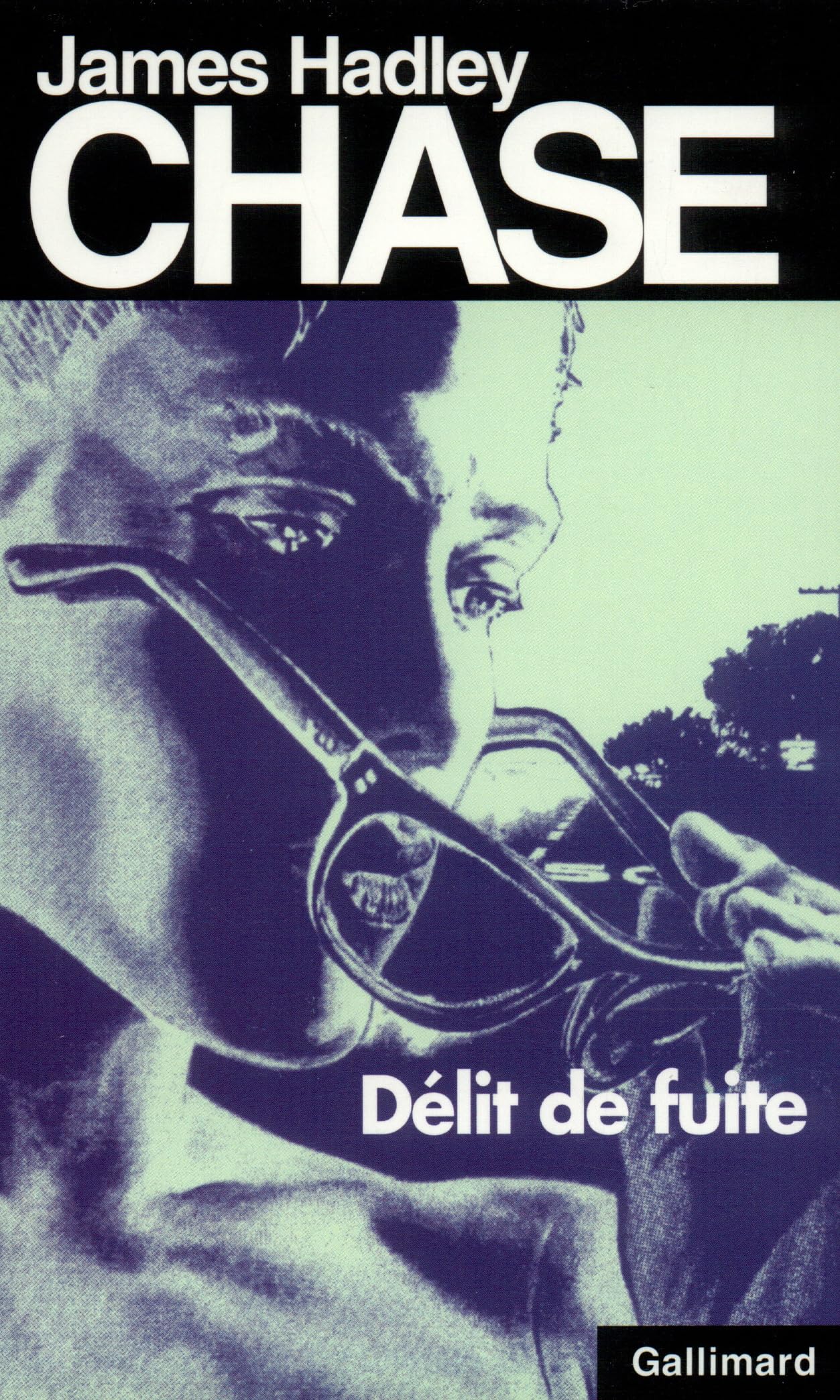 Délit de fuite 9782070497461