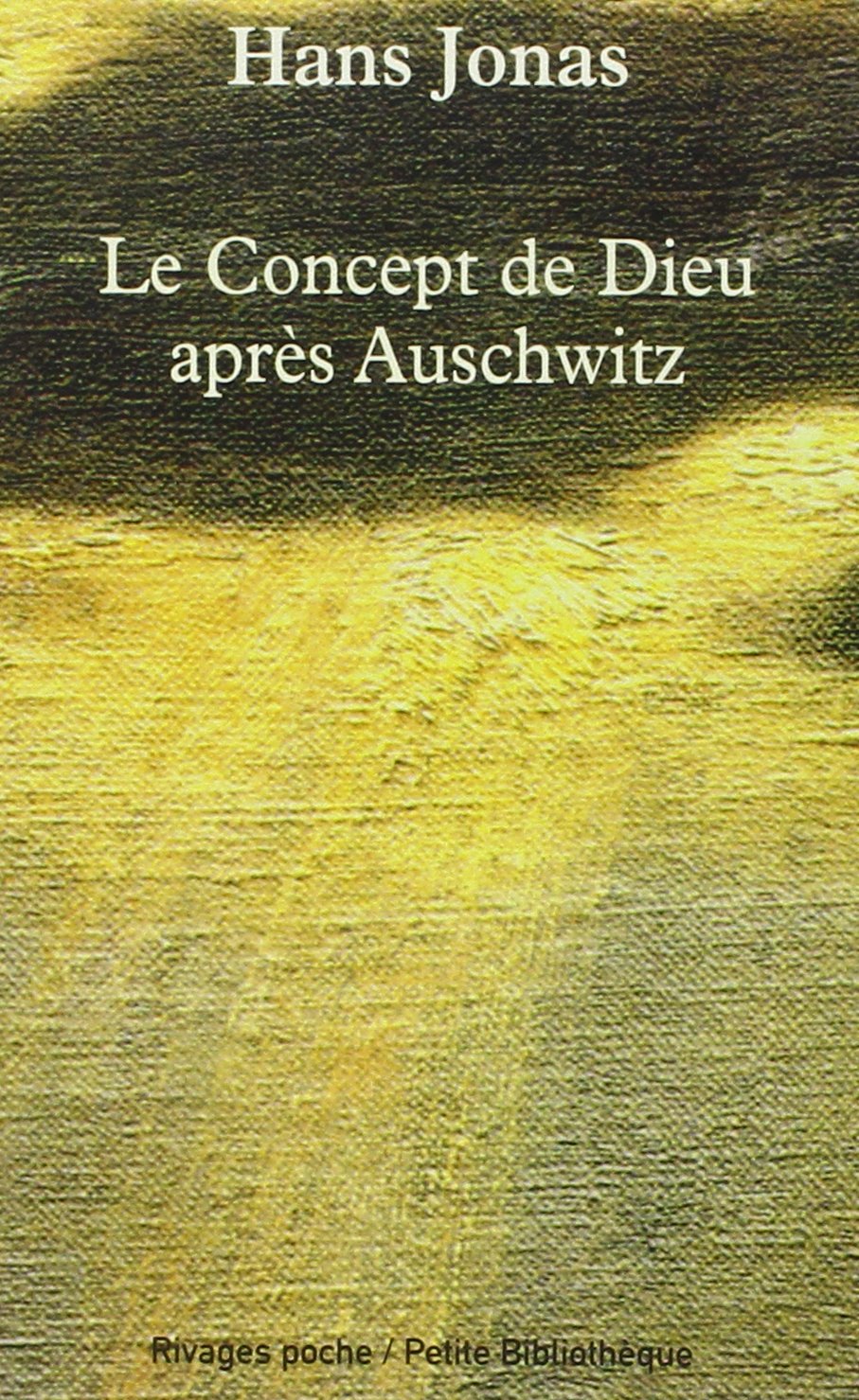 Le Concept de Dieu après Auschwitz 9782869307698