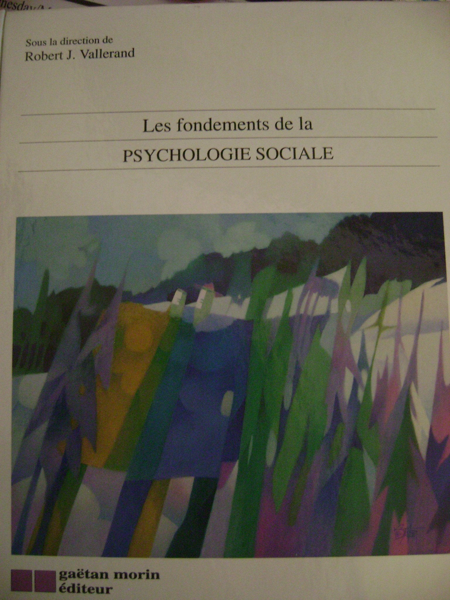 Les Fondements De La Psychologie Sociale 9782891054867