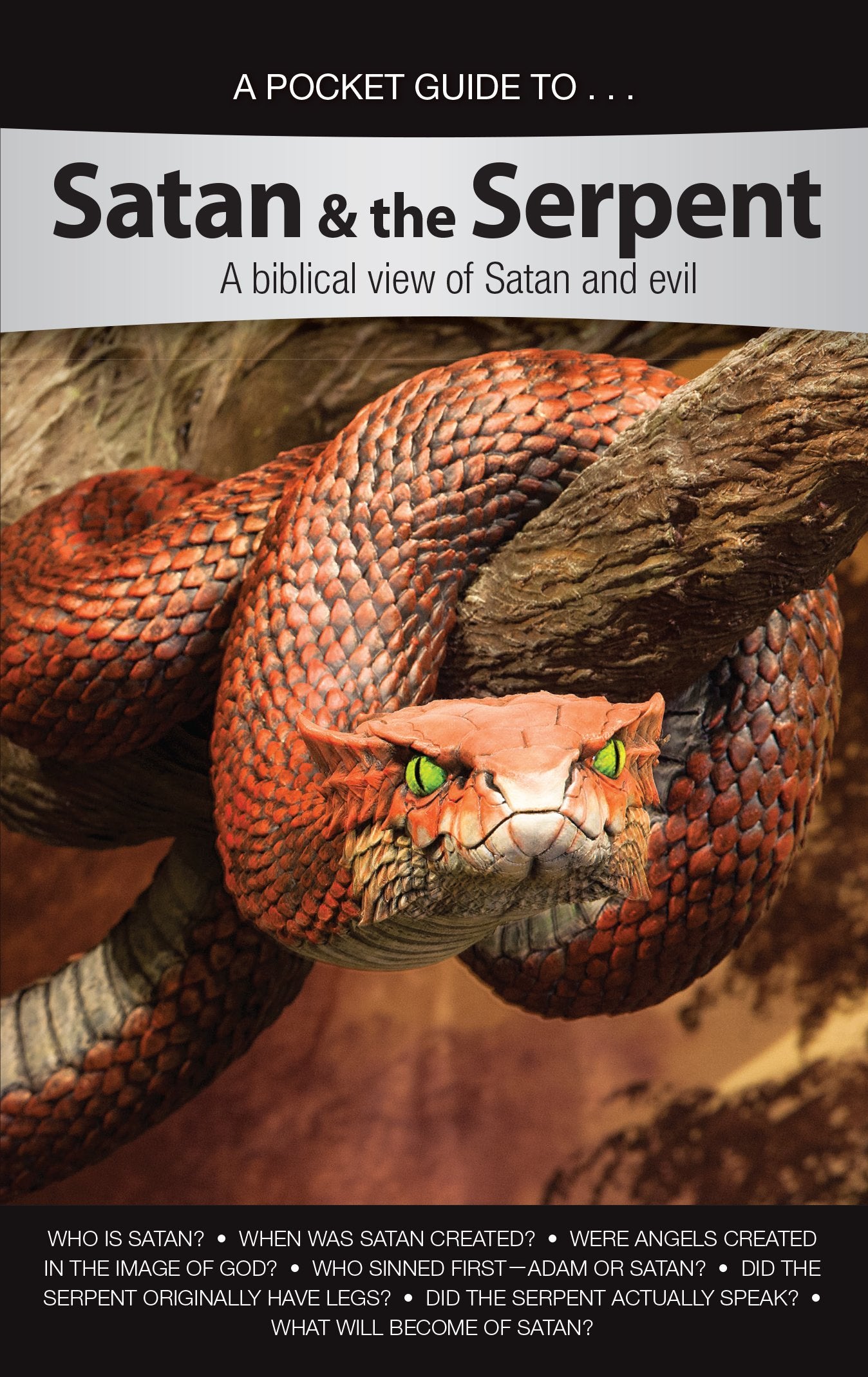 Pocket Guide to Satan & the Serpent: A biblical view of Satan and evil 9781600929984