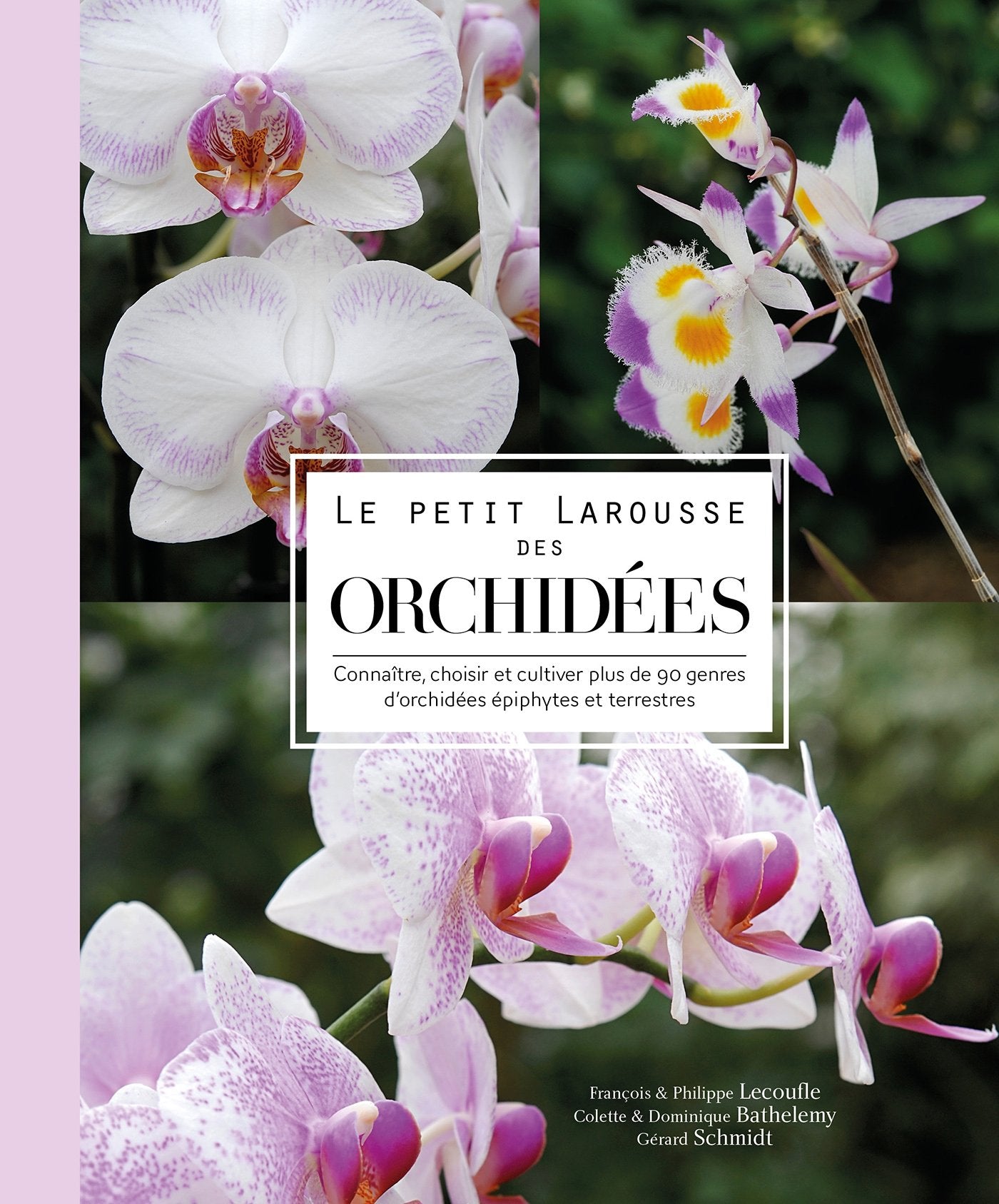Le petit Larousse des orchidées 9782035943507