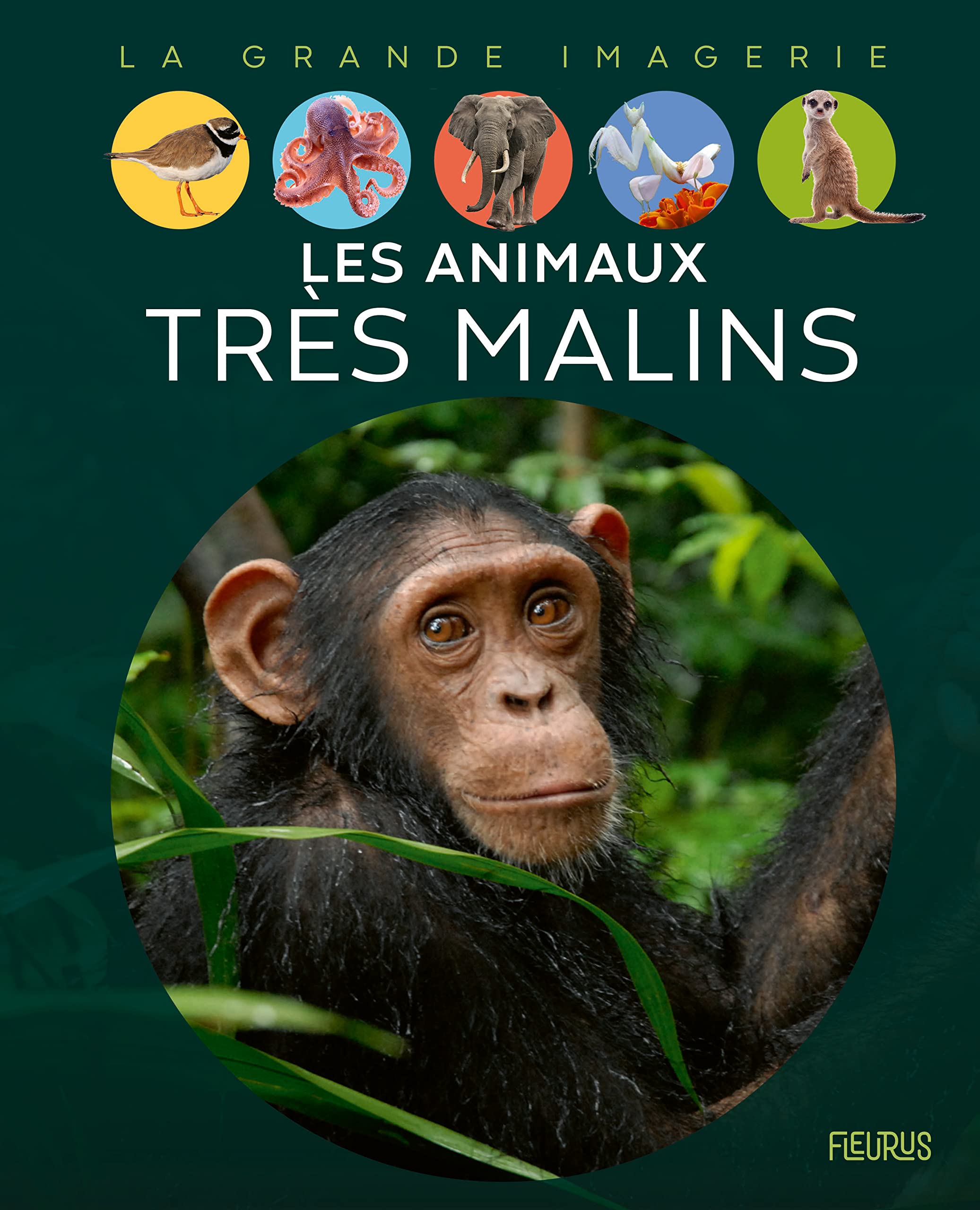 Les animaux très malins 9782215158592