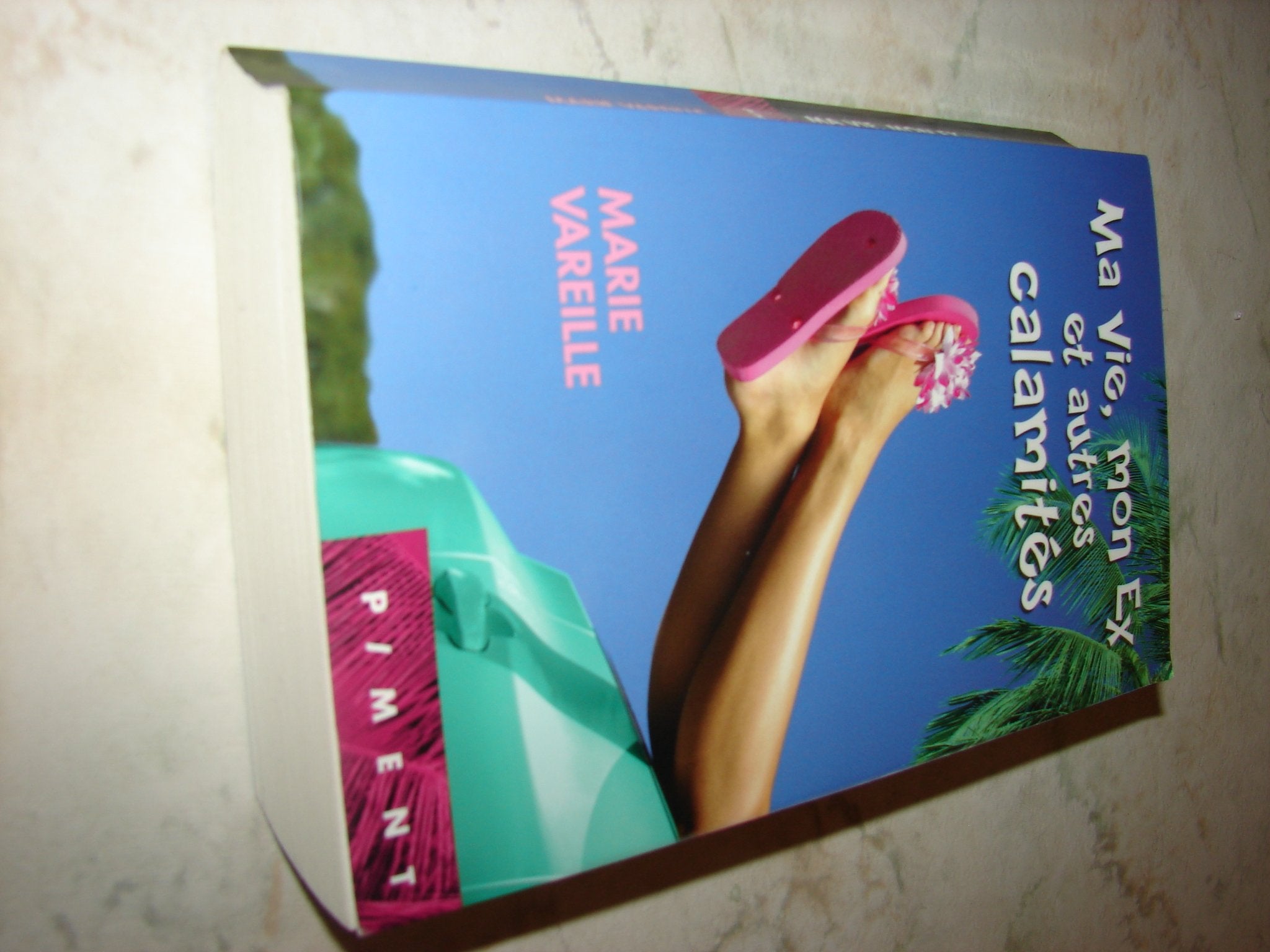 Ma vie, mon ex et autres calamités 9782298098037