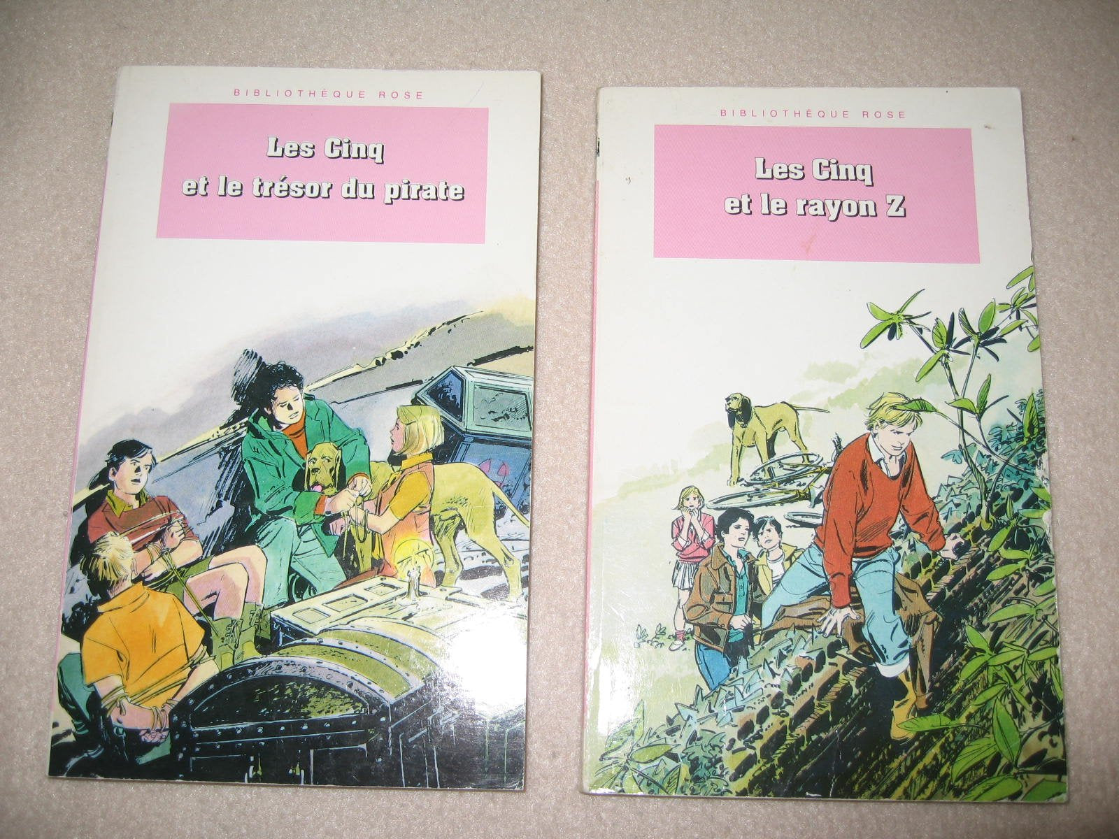 Les Cinq et le trésor du pirate: Une nouvelle aventure des personnages créés par Enid Blyton 9782012094994
