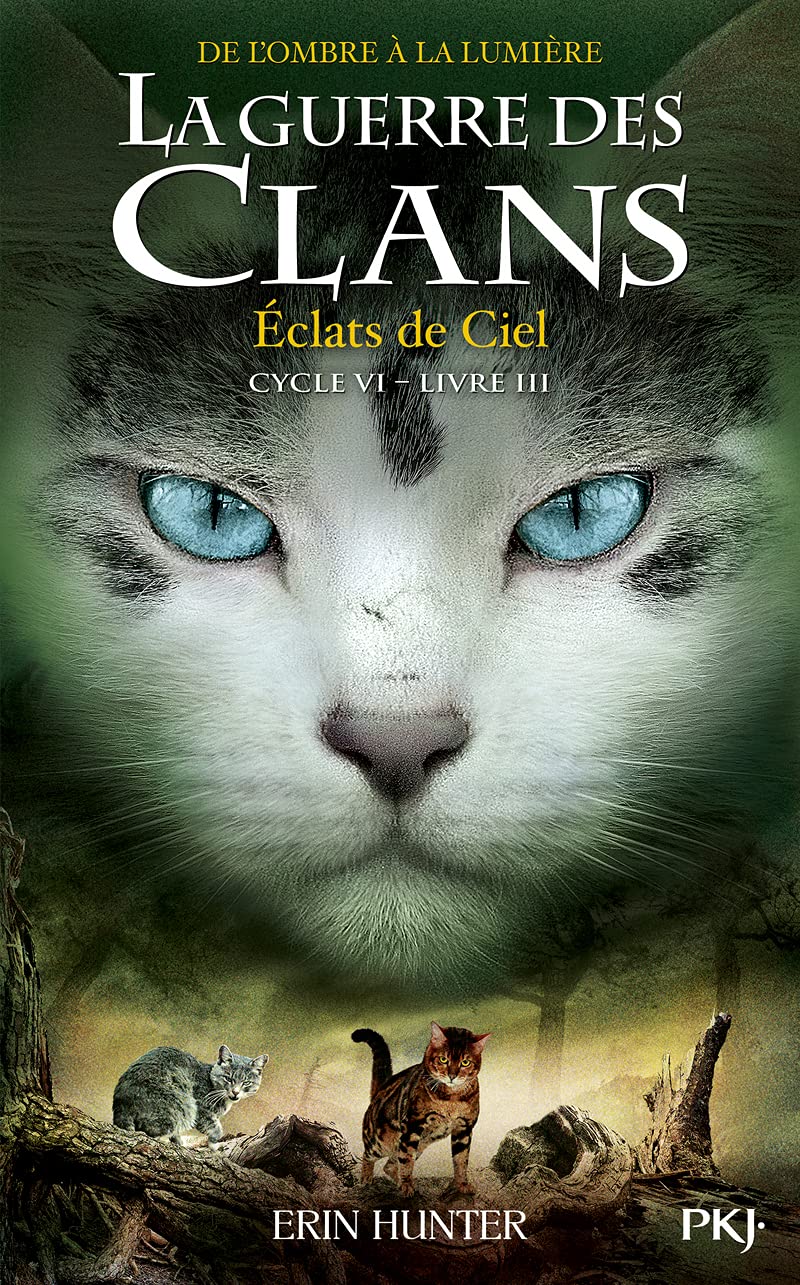La guerre des Clans, cycle VI - tome 03 : Éclats de Ciel (3) 9782266314688