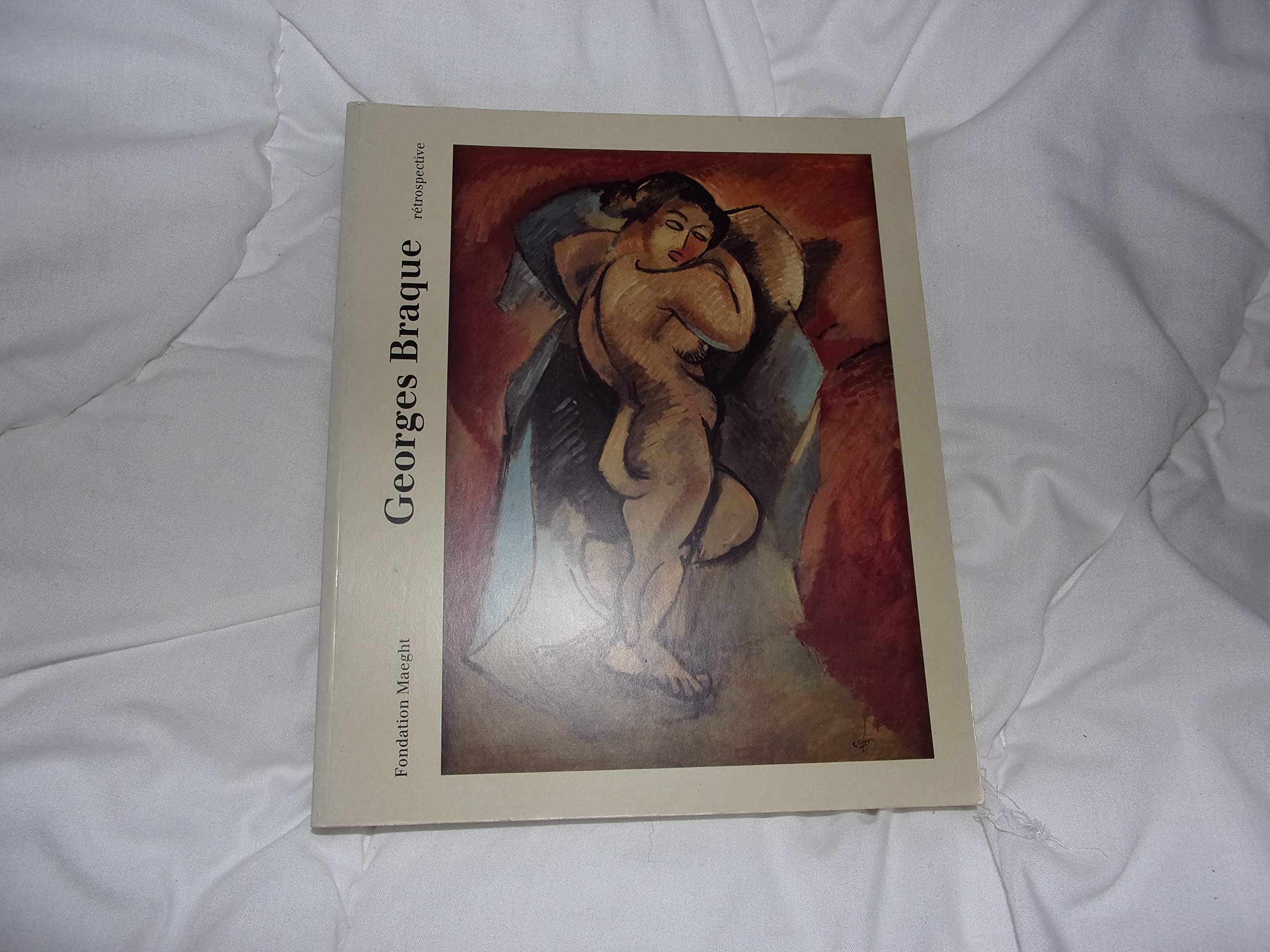 Georges Braque : Rétrospective 9782900923108