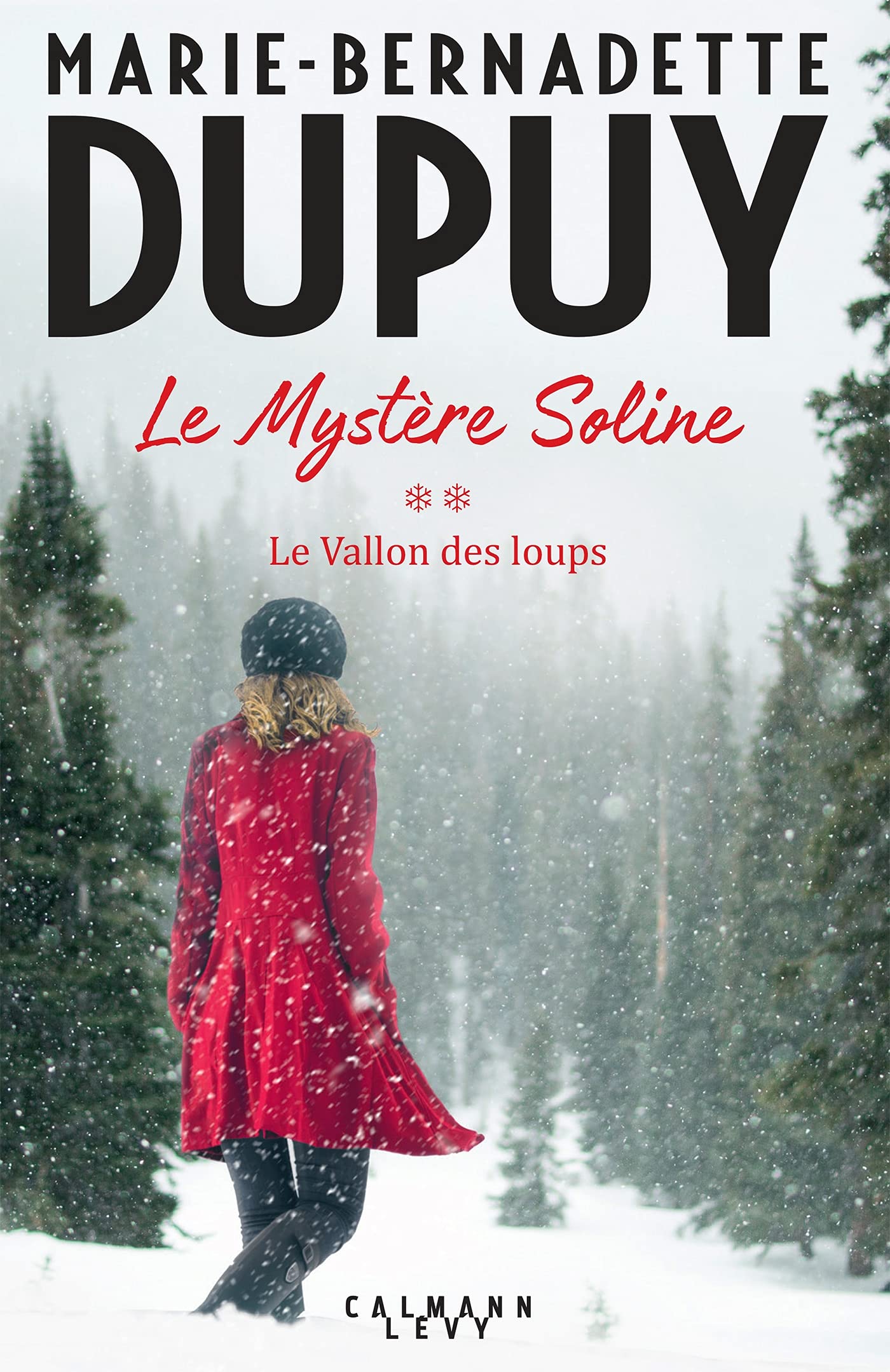 Le Mystère Soline, T2 - Le vallon des loups 9782702168820