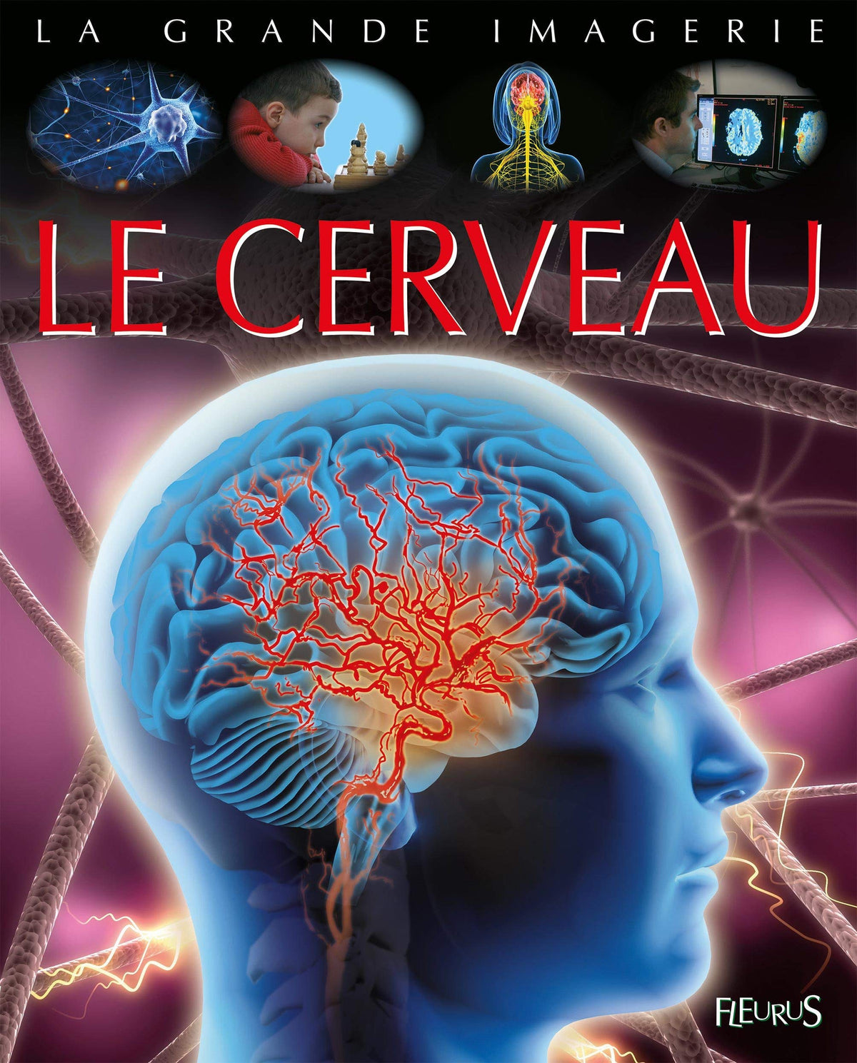 Le cerveau 9782215144571