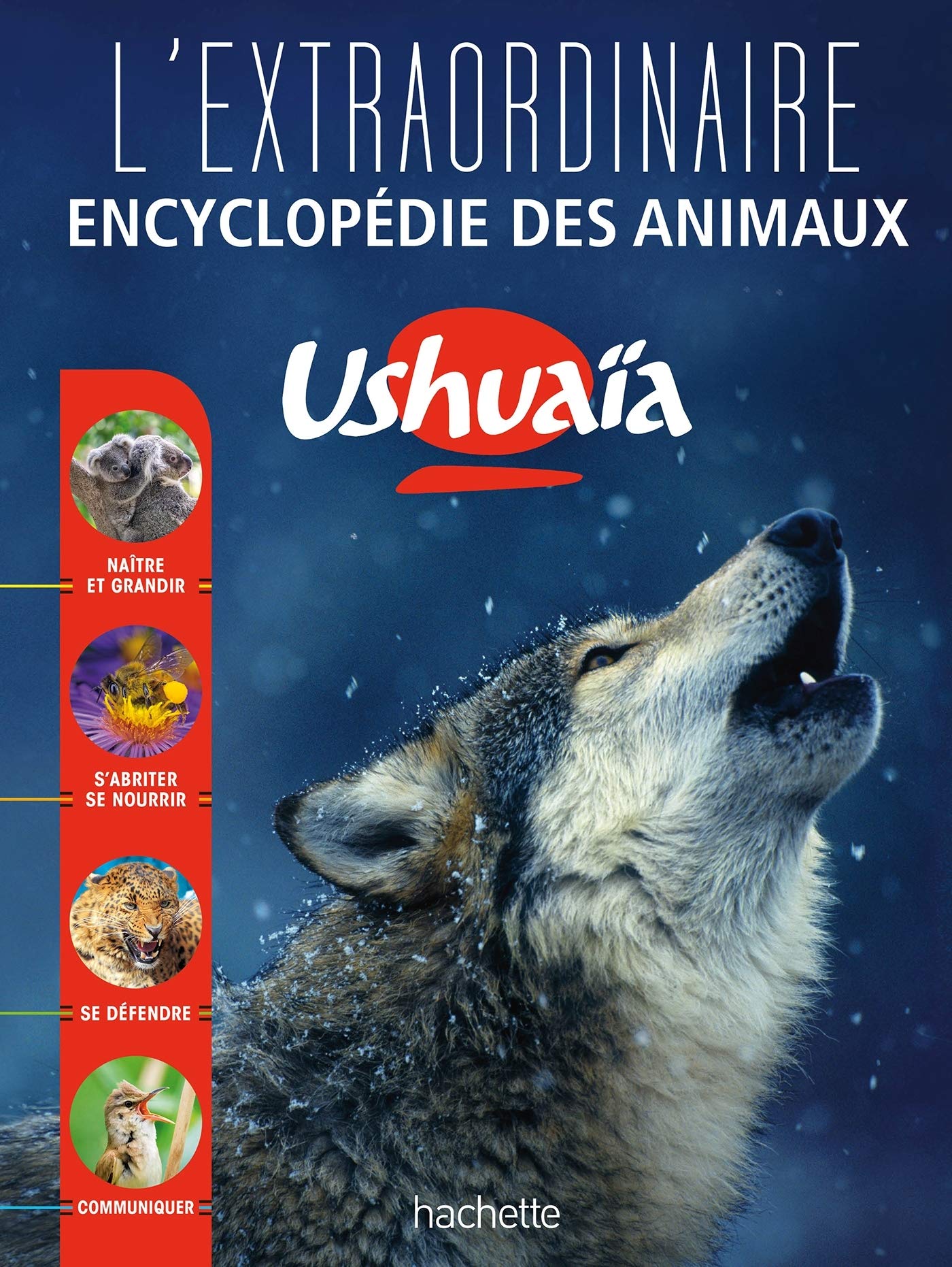 L'Extraordinaire encyclopédie des animaux Ushuaïa 9782012903791