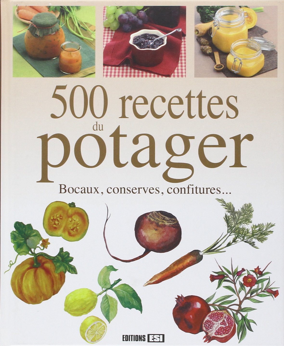 500 recettes du potager: Bocaux, conserves, confitures... 9782822601498
