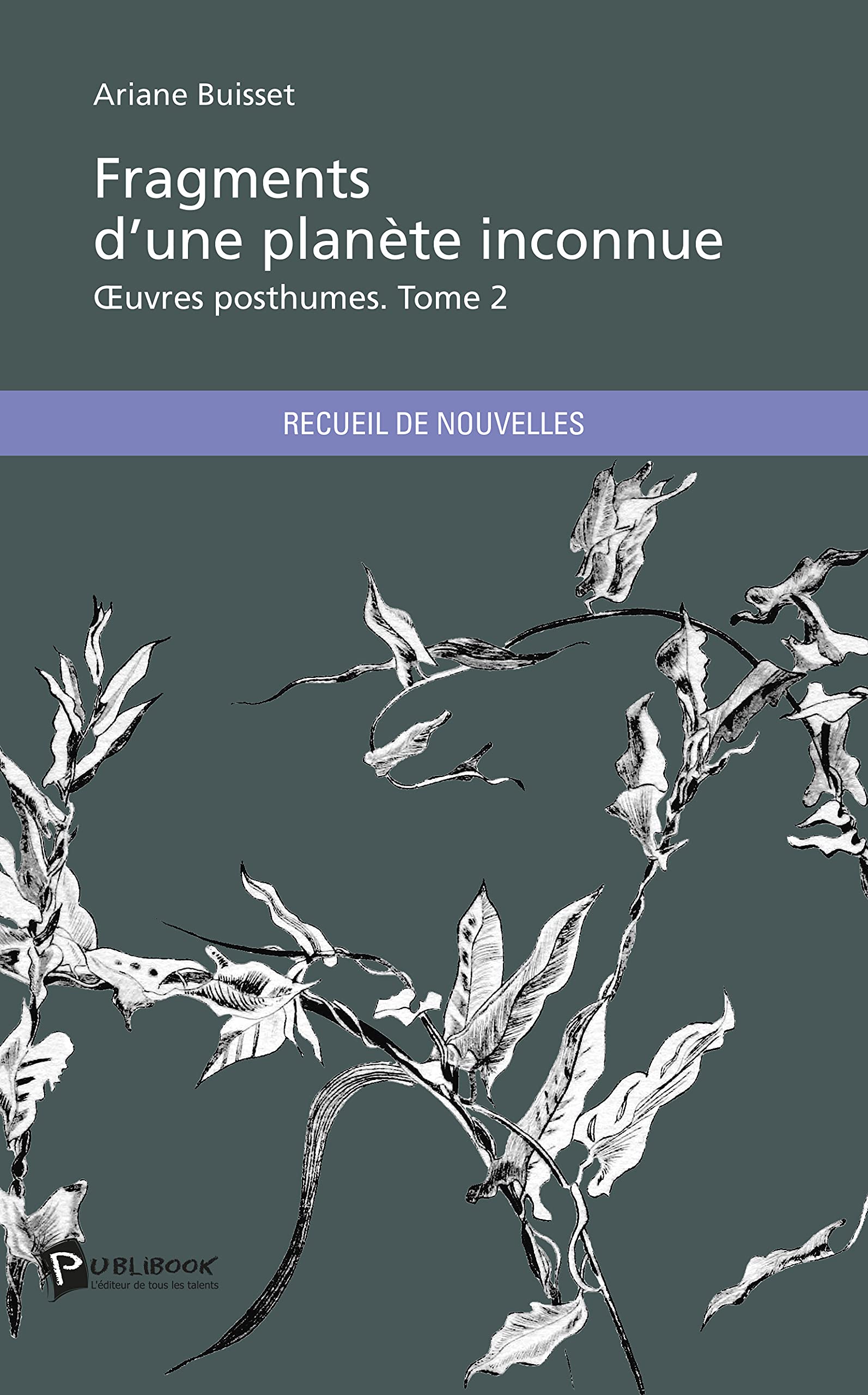 Fragments d'une planète inconnue - Tome 2 9782342045291