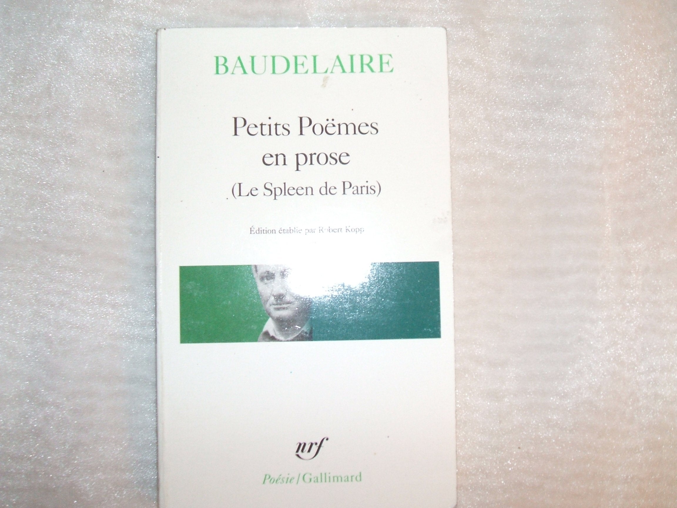 Petits poëmes en prose - Le Spleen de Paris 9782070319992