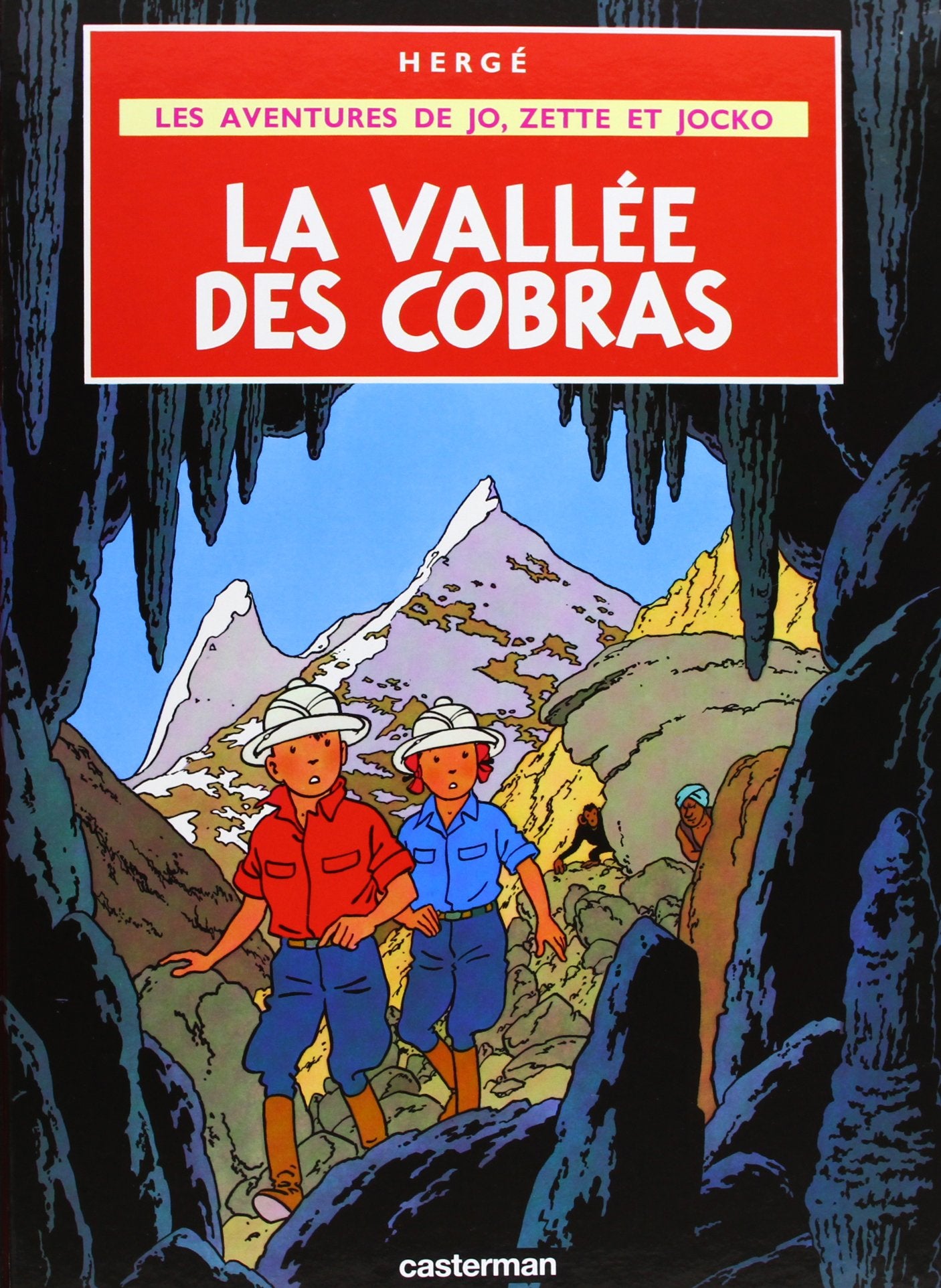 La Vallée des cobras 9782203311053