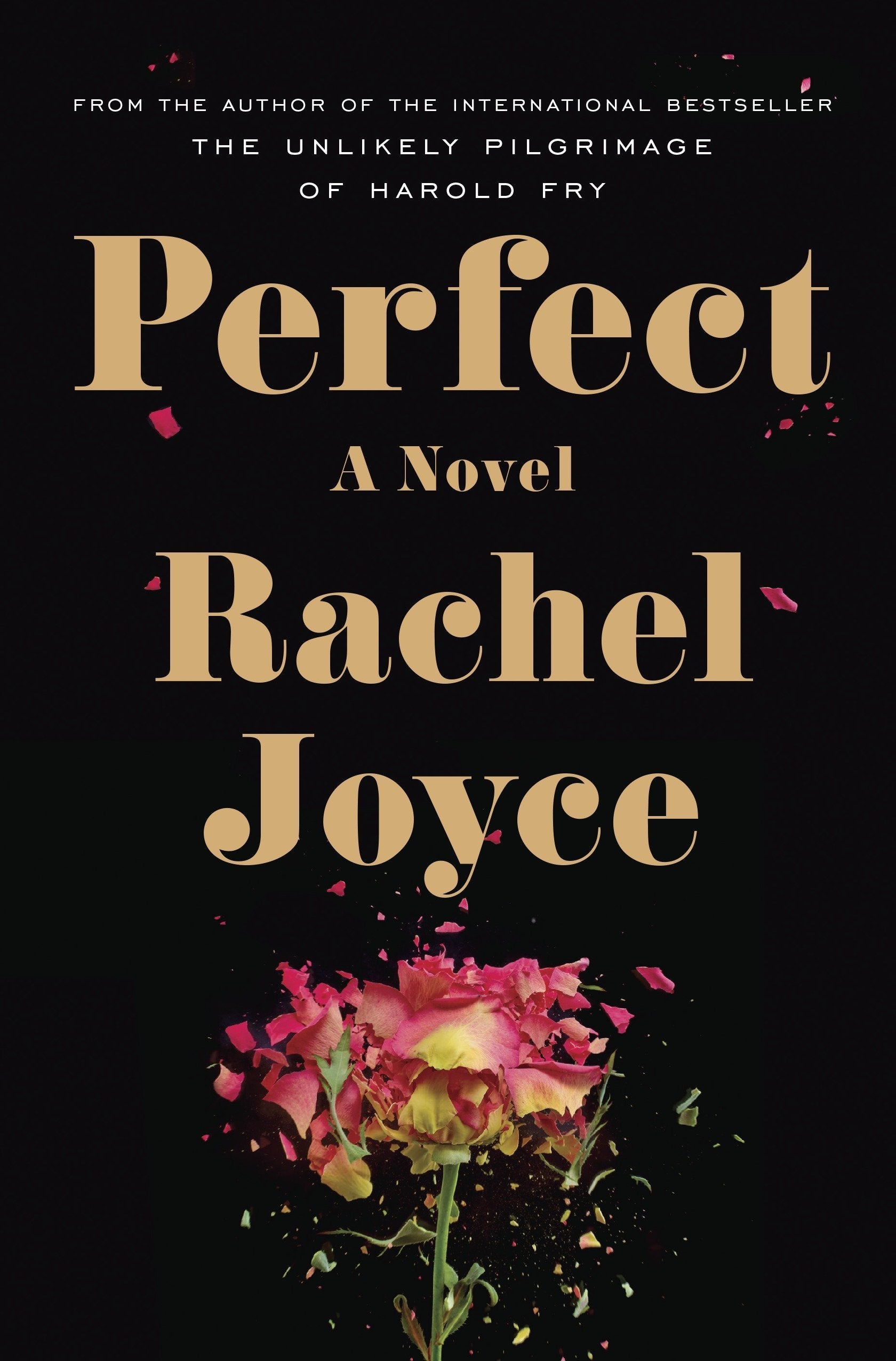 Perfect: A Novel 9780812999006
