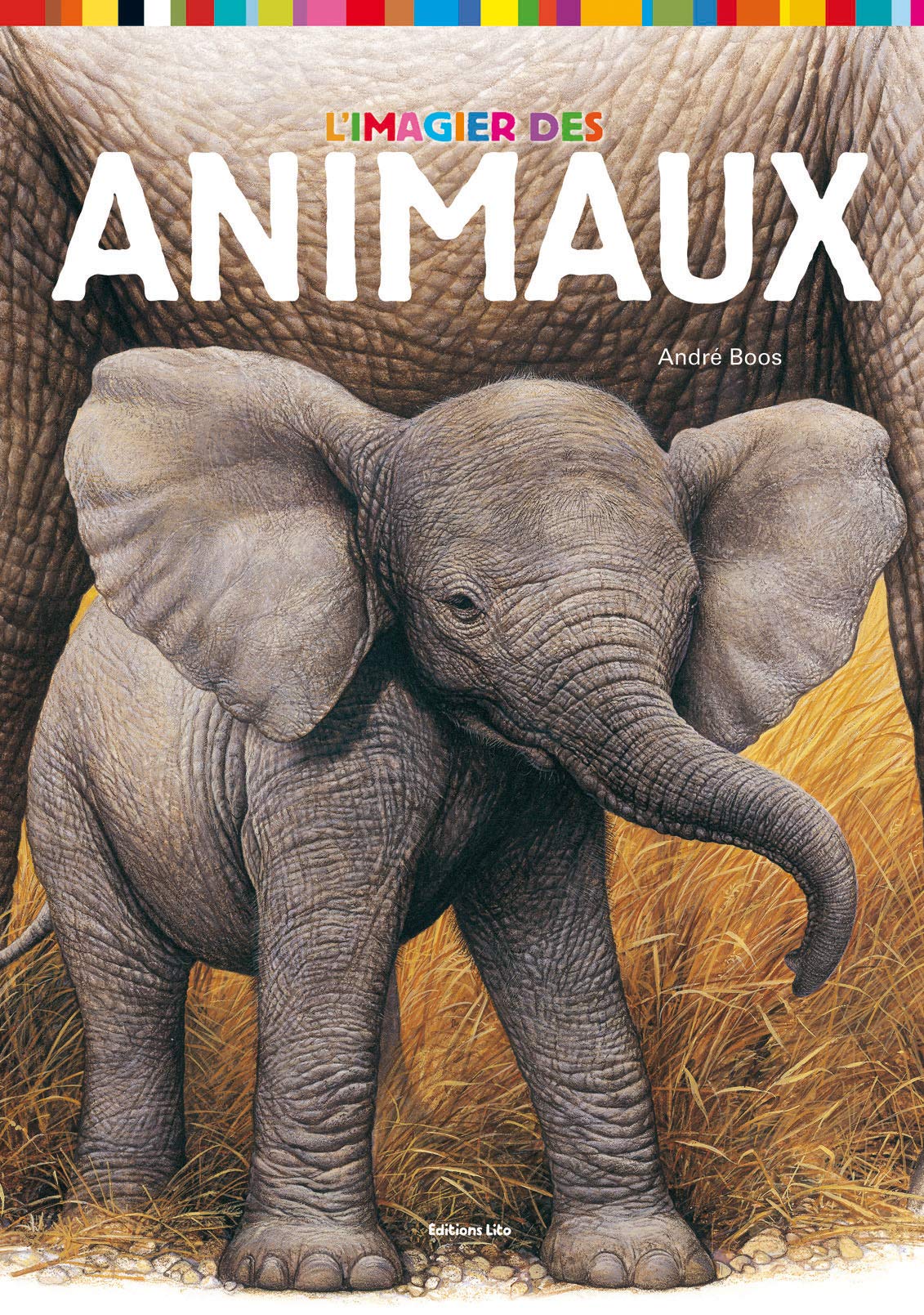 L'imagier des animaux ( périmé ) 9782244411361