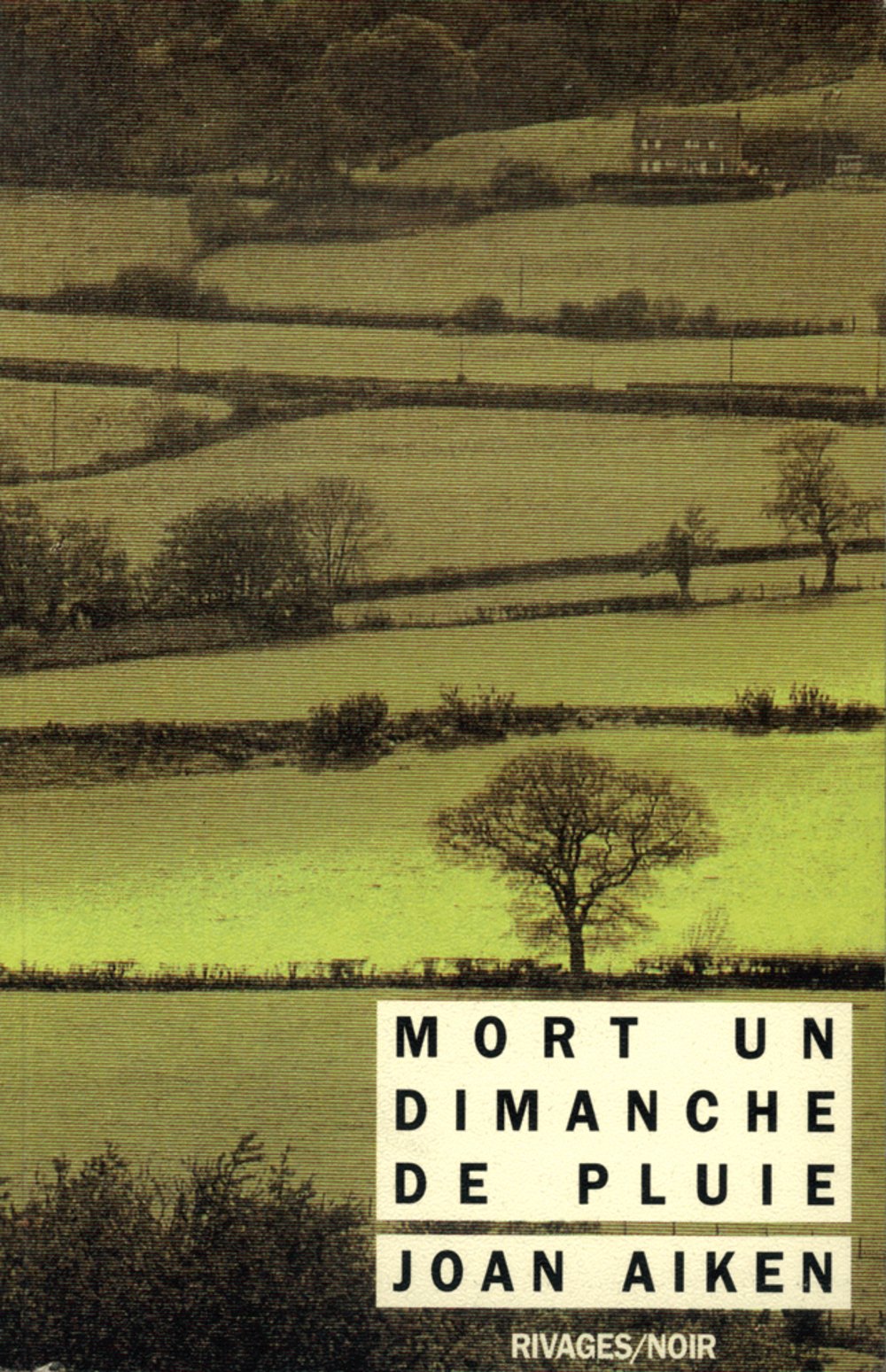 Mort un dimanche de pluie 9782869300293
