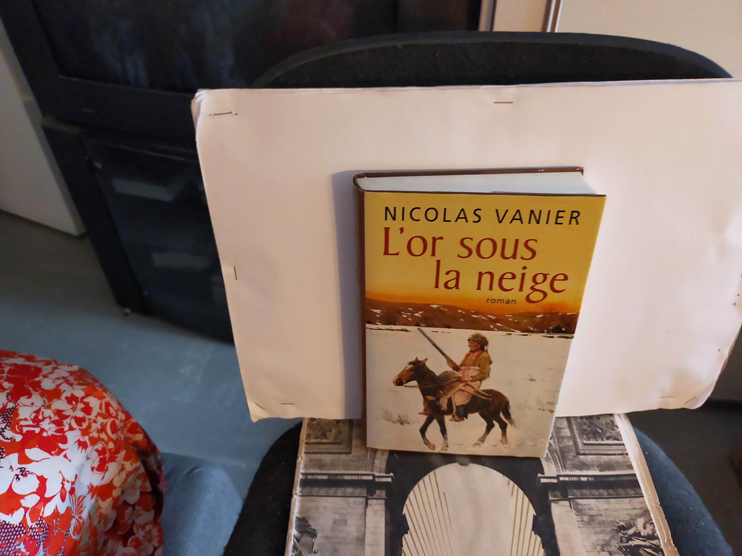 L'or sous la neige 9782744179020