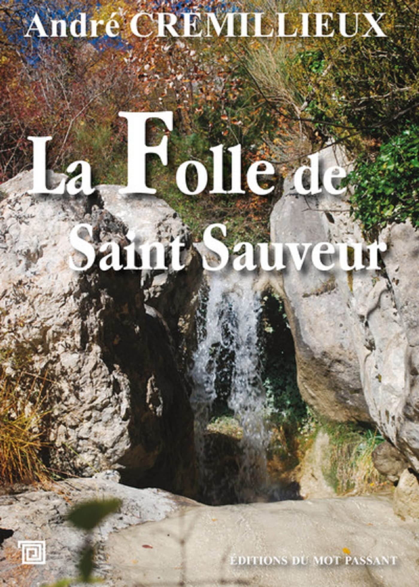 La Folle de Saint Sauveur 9782357920477