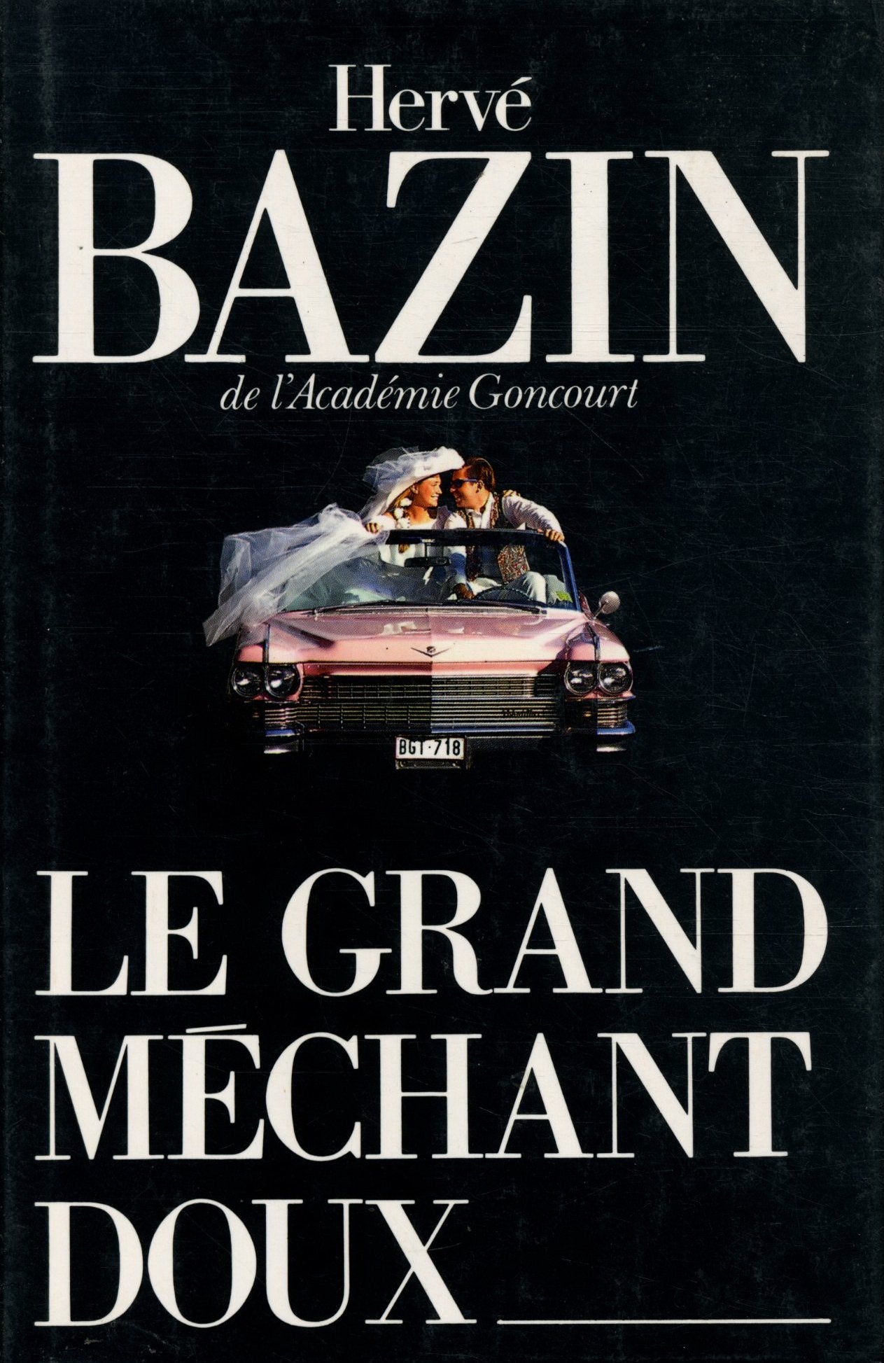 Le grand méchant doux 9782286040628