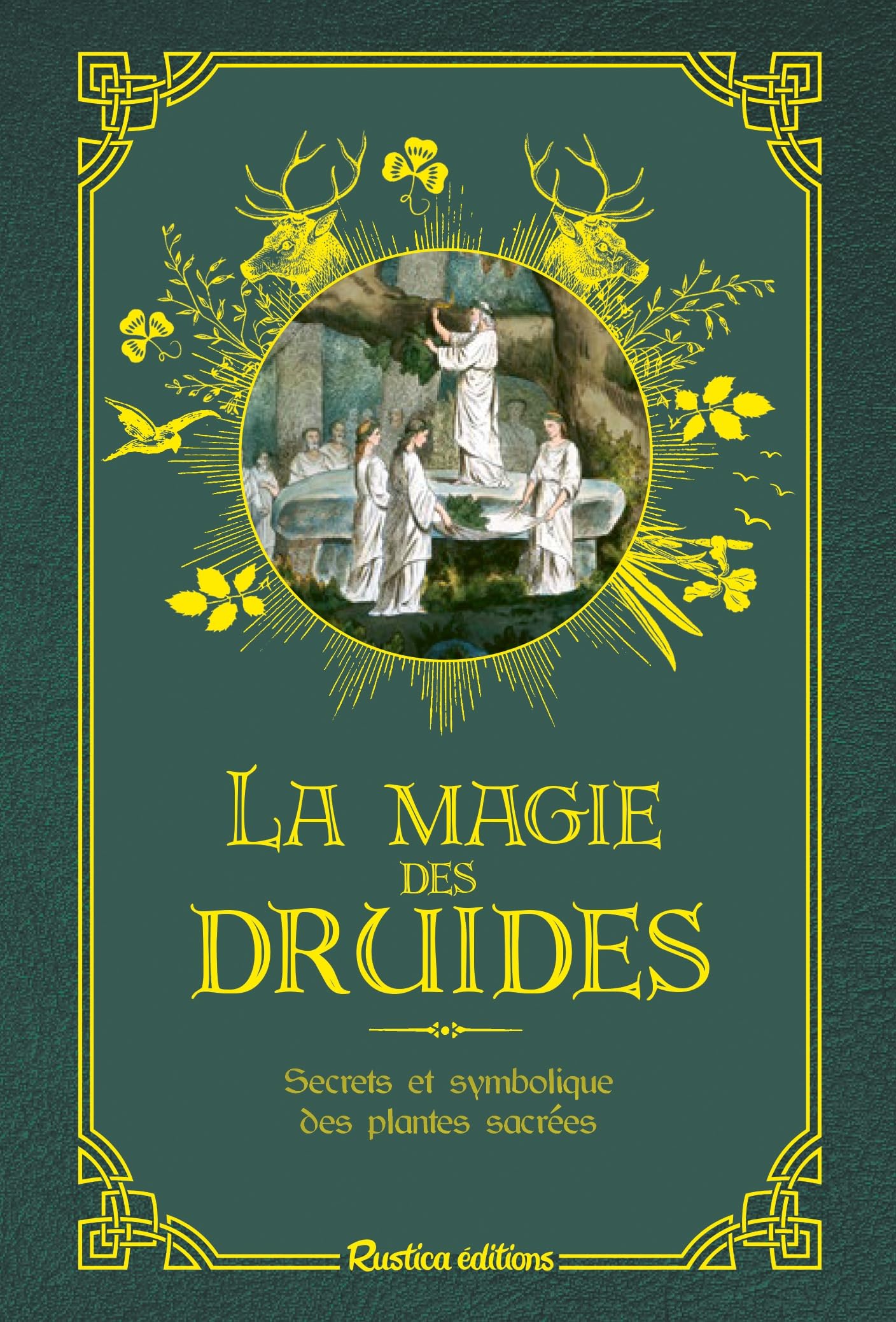 La magie des druides: Secrets et symbolique des plantes sacrées 9782815312158