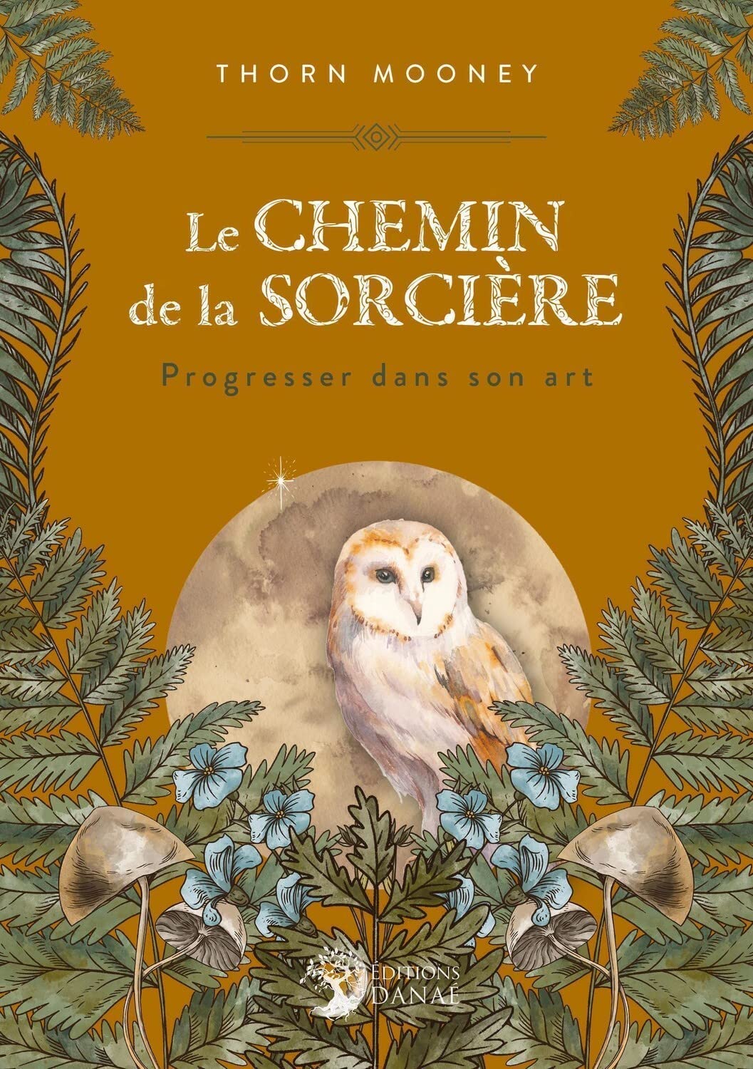 Le Chemin de la Sorcière - Progresser dans son Art 9782380620351