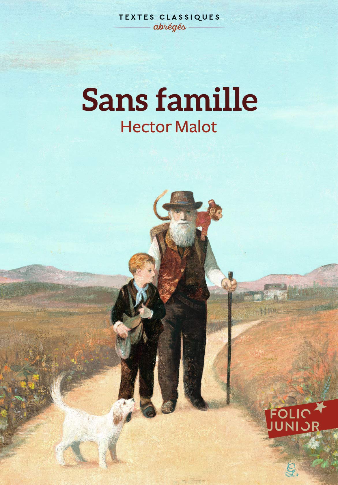 SANS FAMILLE (ABREGE) 9782075120456