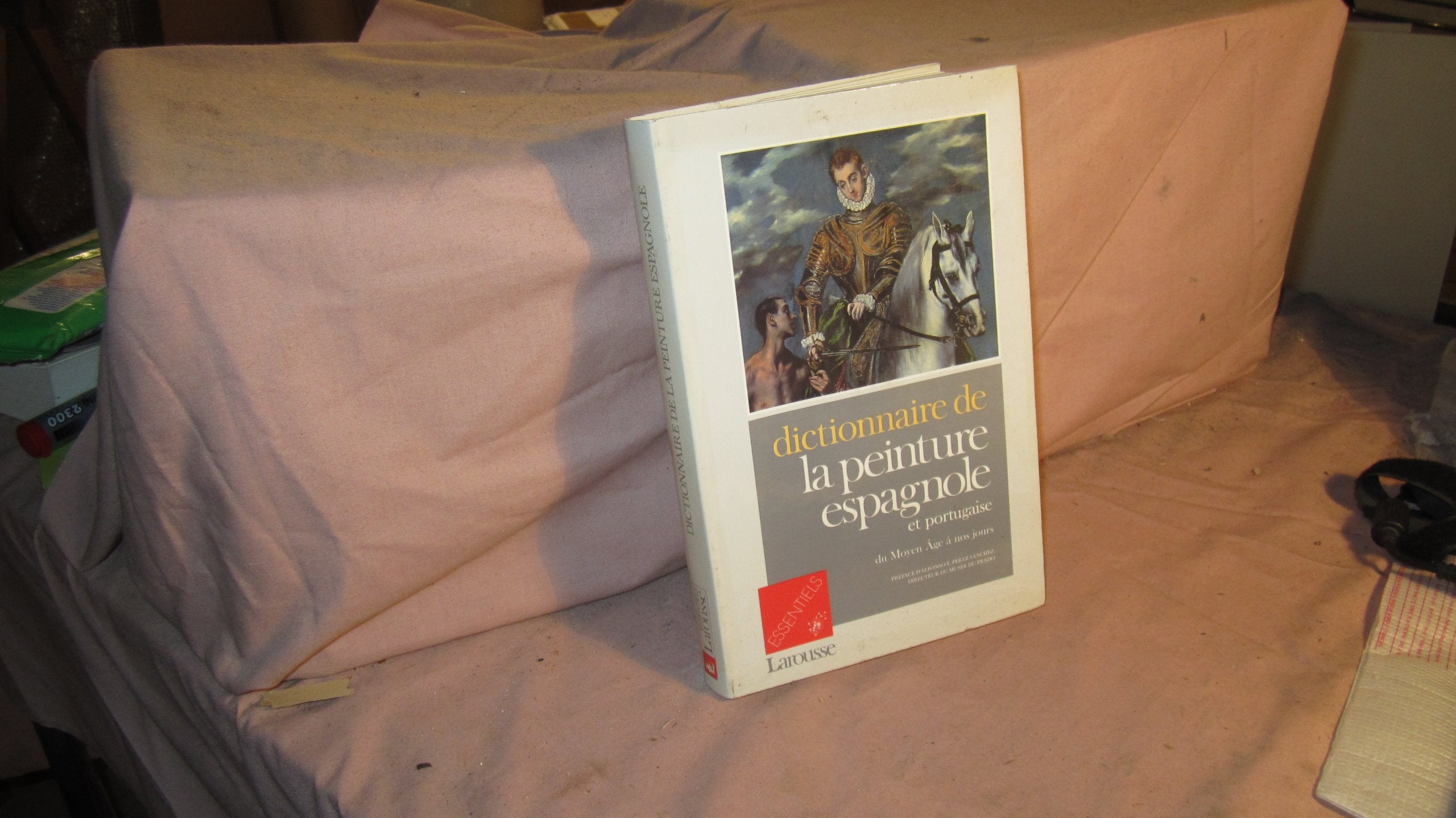 Dictionnaire de la peinture espagnole et portugaise du Moyen âge à nos jours 9782037400169