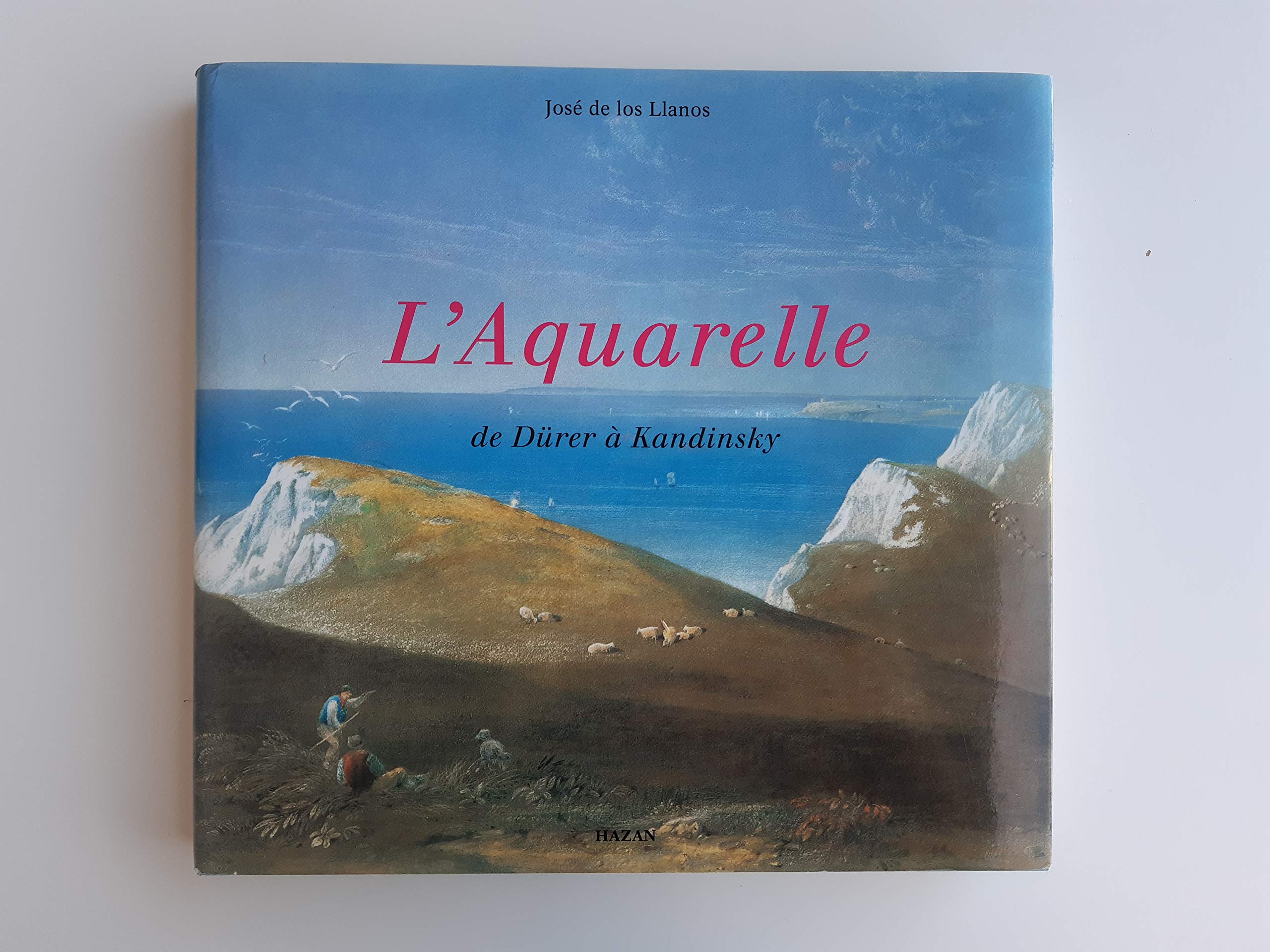L'Aquarelle : De Dürer à Kandinsky 9782850254314