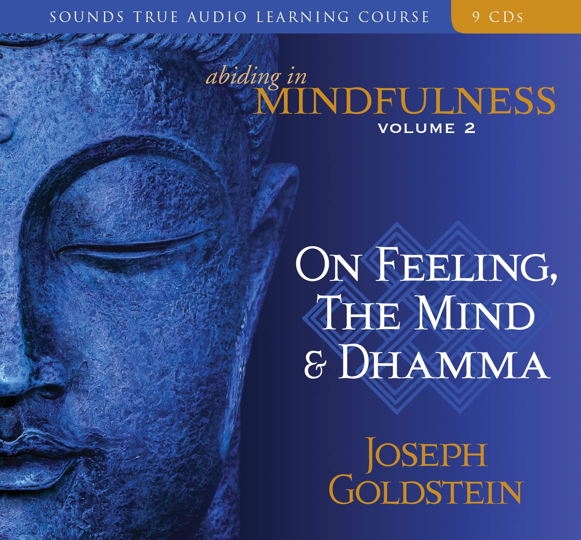 Abiding in Mindfulness: On Feeling, the Mind & Dhamma 9781591796459