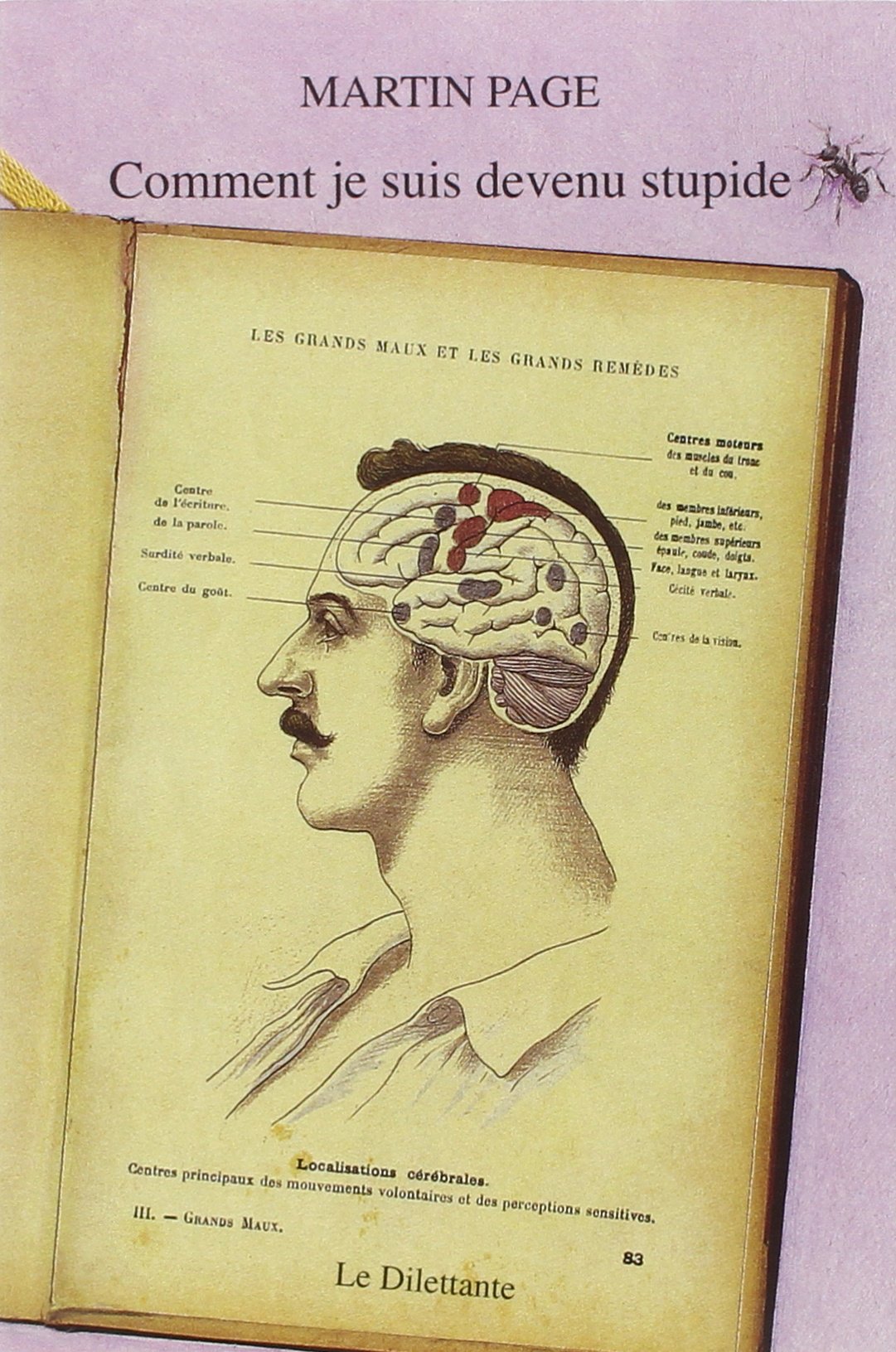 Comment je suis devenu stupide 9782842630409