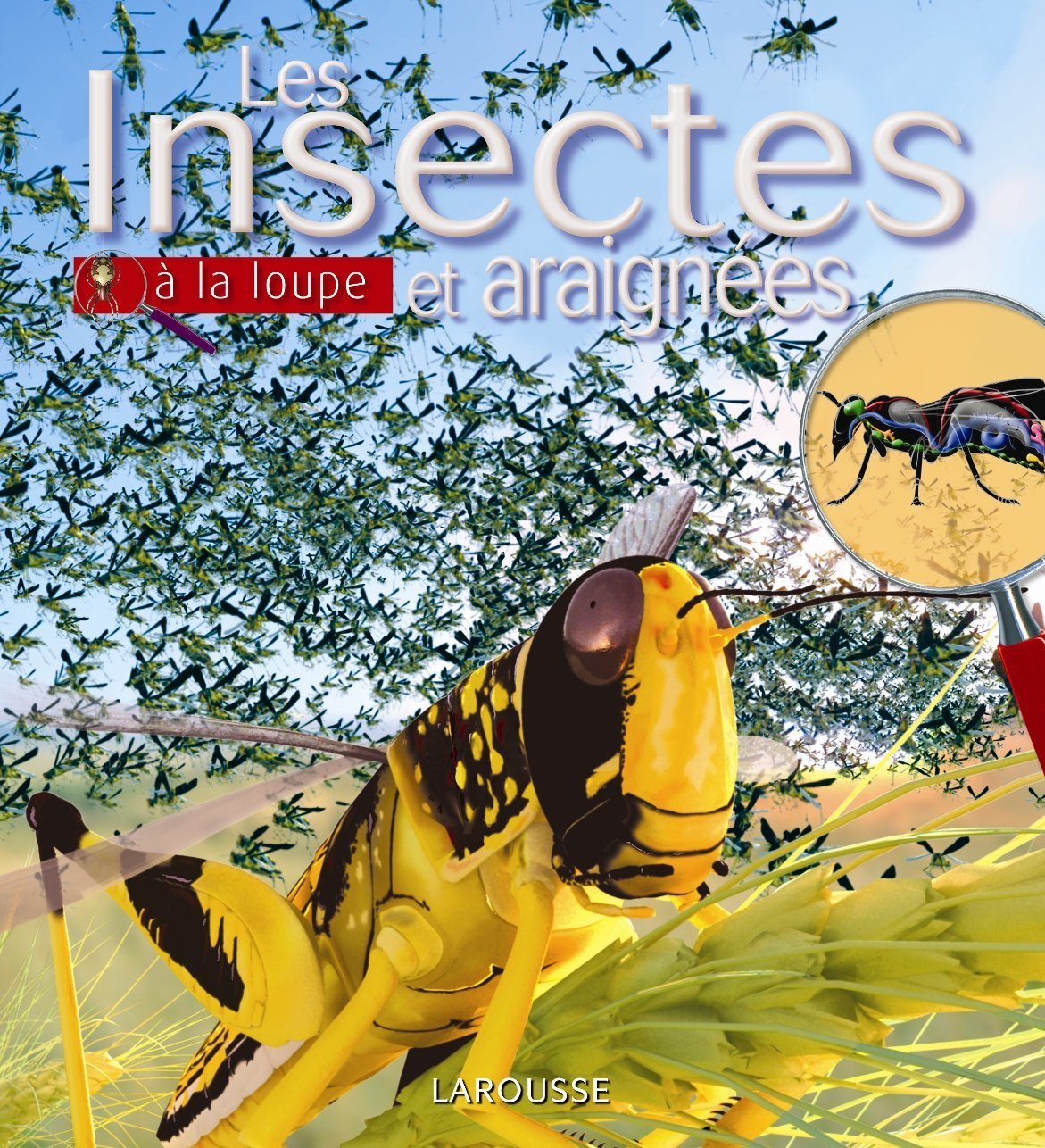 Insectes et araignées 9782035834584