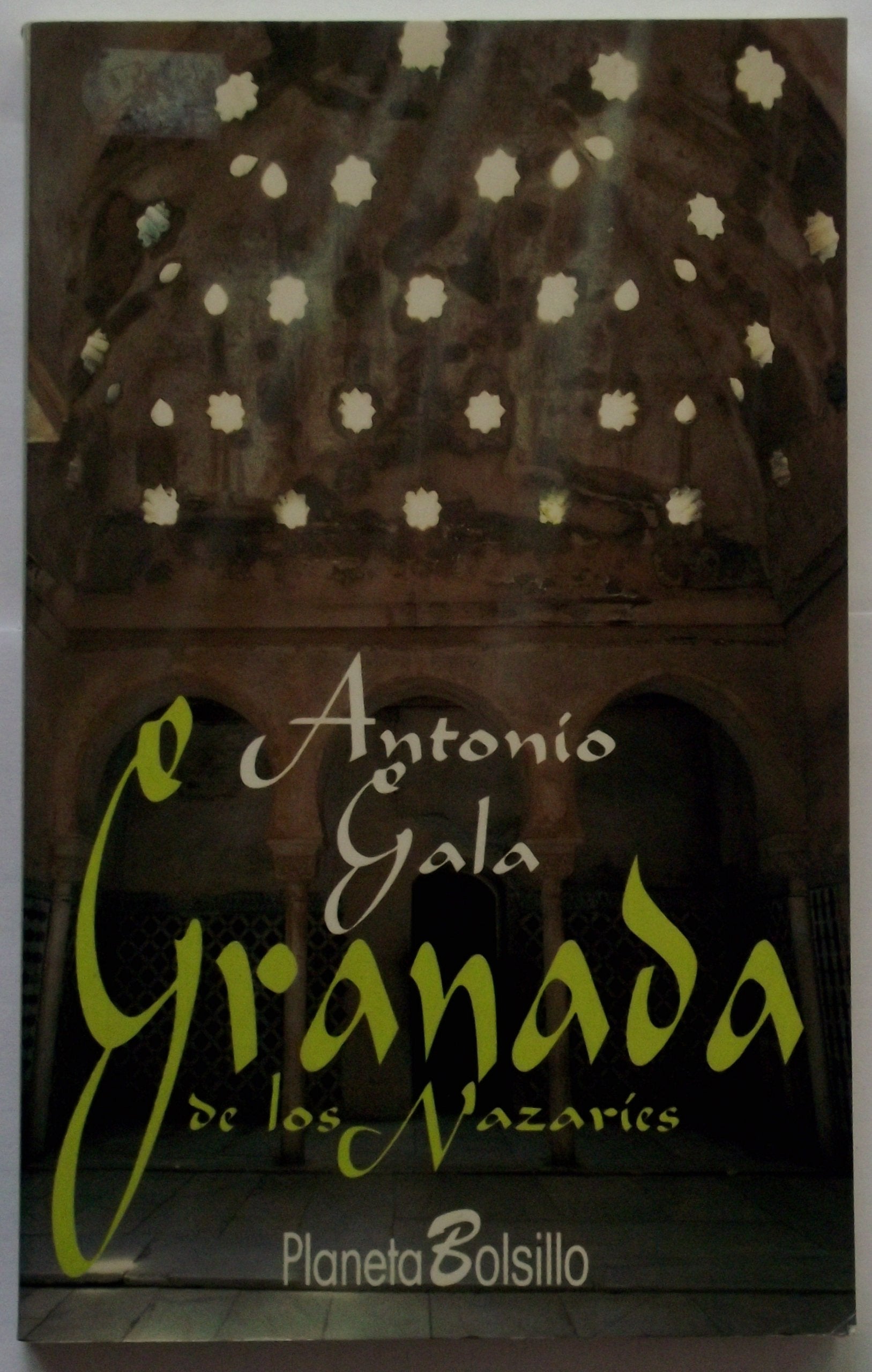 Granada de los nazaries 9788408011859