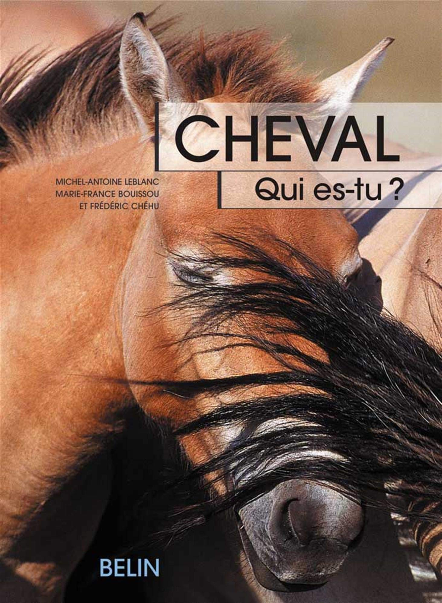 Cheval qui es-tu ?: Qui es-tu ? 9782701136080